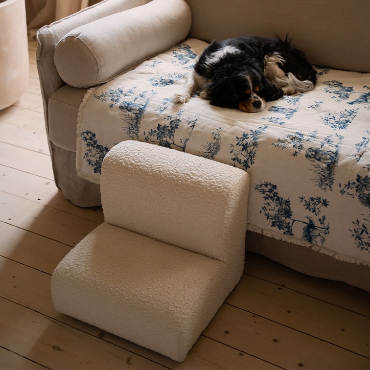 Kleiner weisser Plüsch-Hundesessel auf Holzboden neben Sofa mit schlafendem Hund auf blau-weissem Überwurf