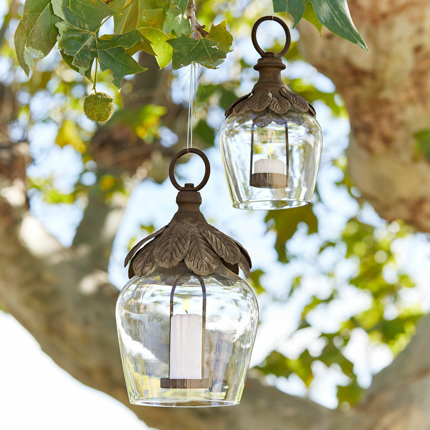 Hängelaterne 2er Set Tourillan Glaslaternen mit braunen Metallblättern, hängend an einem Baum, Gartendekoration mit Kerzenlicht