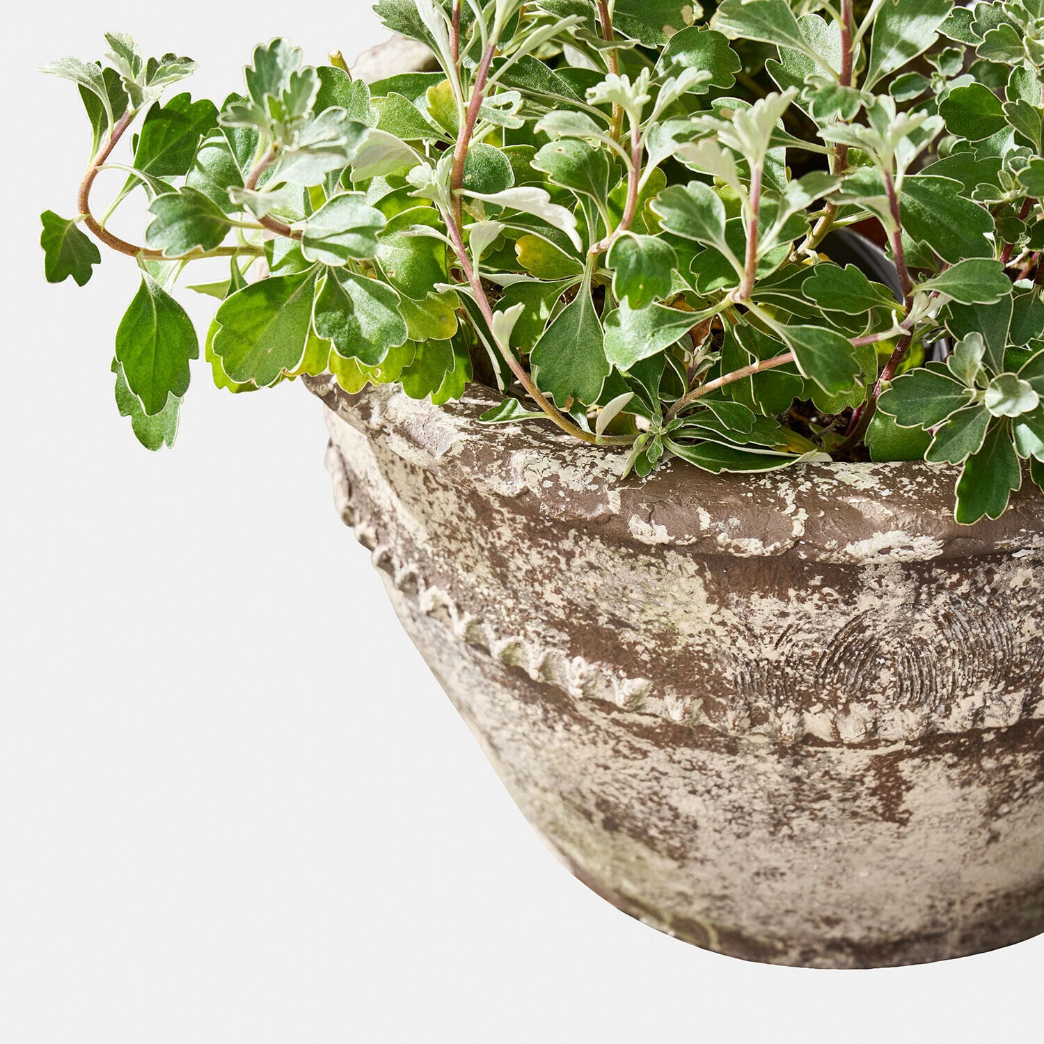 Übertopf 2er Set Montérise