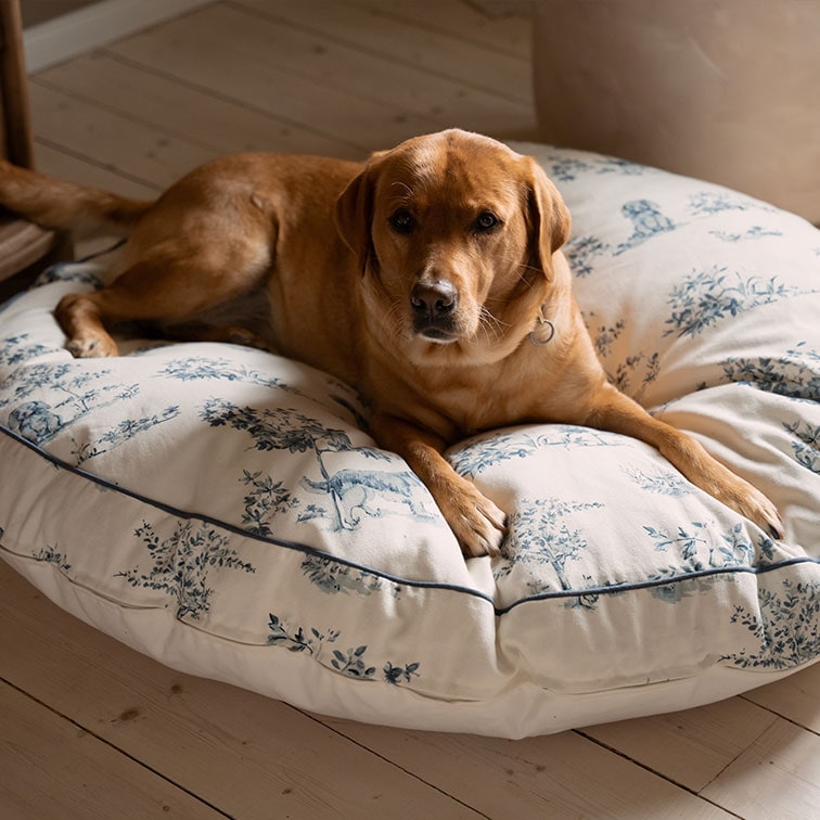 Brauner Hund liegt auf großem cremefarbenem Baumwollkissen mit blauem Pflanzenmuster