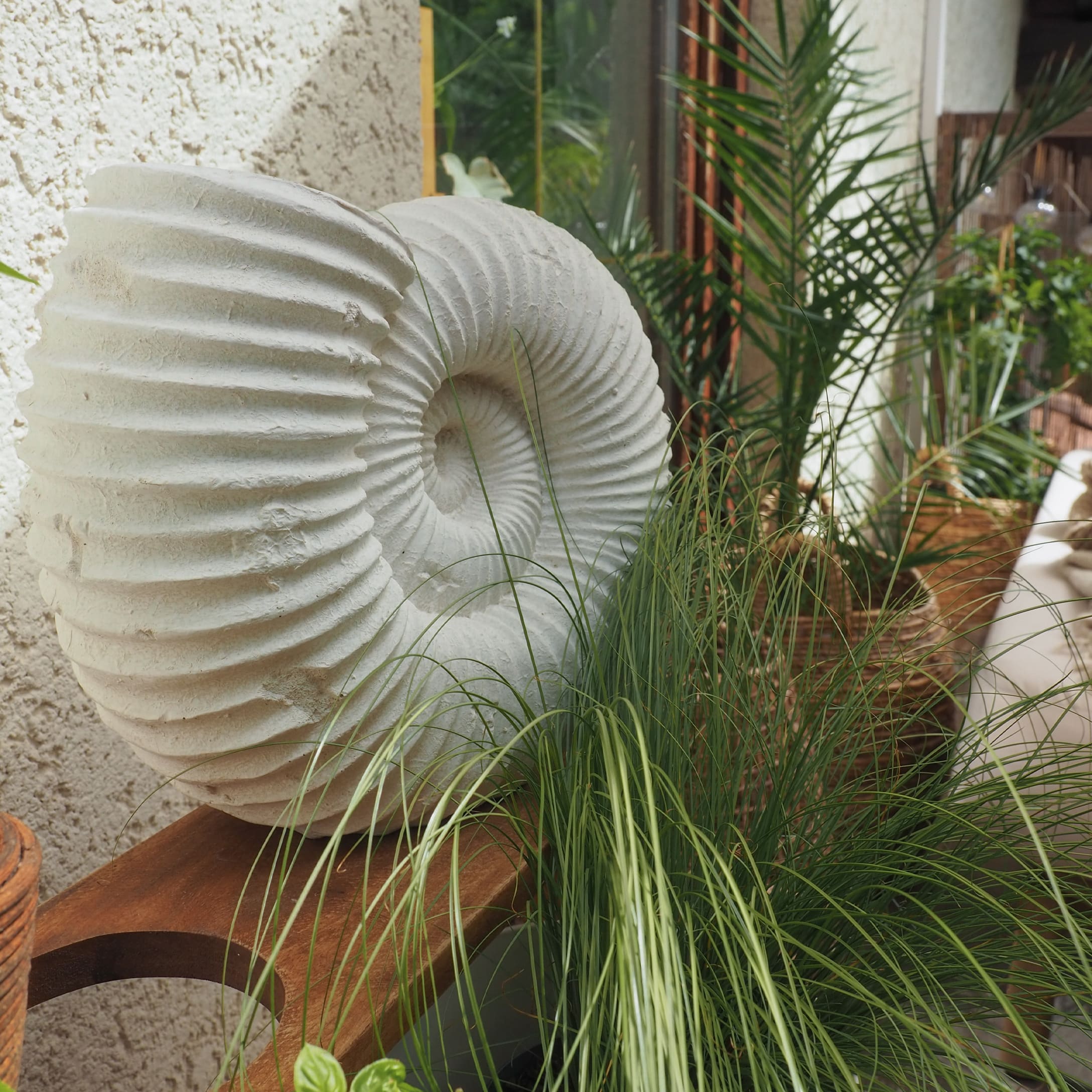 Weisse Steindekoration in Muschelform auf Holzregal mit grünen Pflanzen im Hintergrund