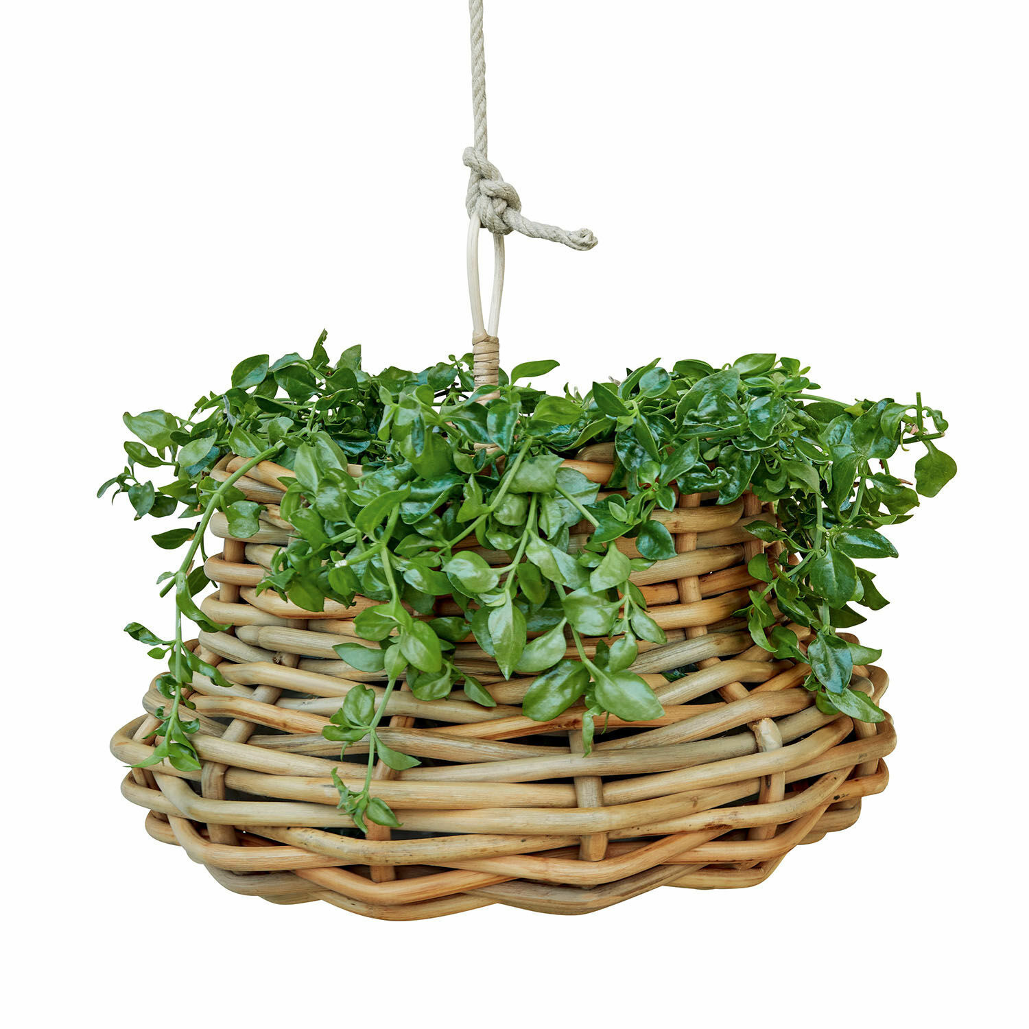 Hängekorb Villaz Hängender Korb aus natürlichem Weidenmaterial mit grünen Blättern, Dekoration für Haus und Garten.