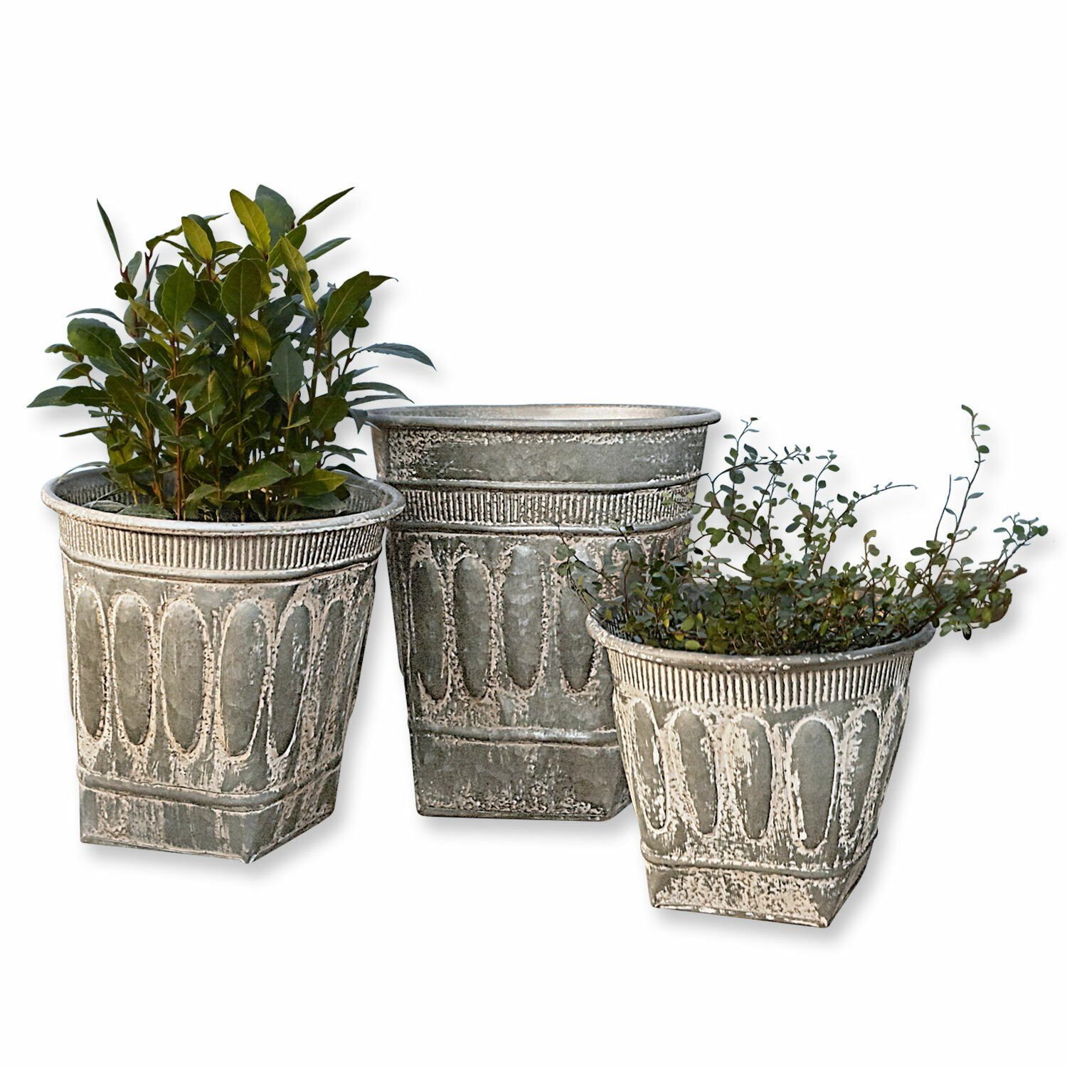 Übertopf 3er Set Bakersfield Set aus drei dekorativen grauen Metallblumentöpfen mit Pflanzen für die Gartendekoration