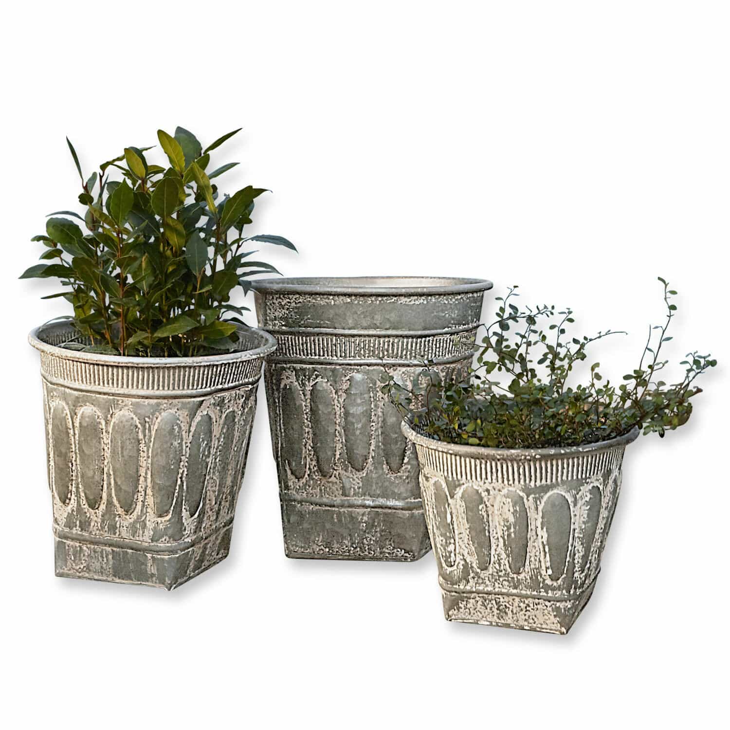 Übertopf 3er Set Bakersfield Set aus drei dekorativen grauen Metallblumentöpfen mit Pflanzen für die Gartendekoration