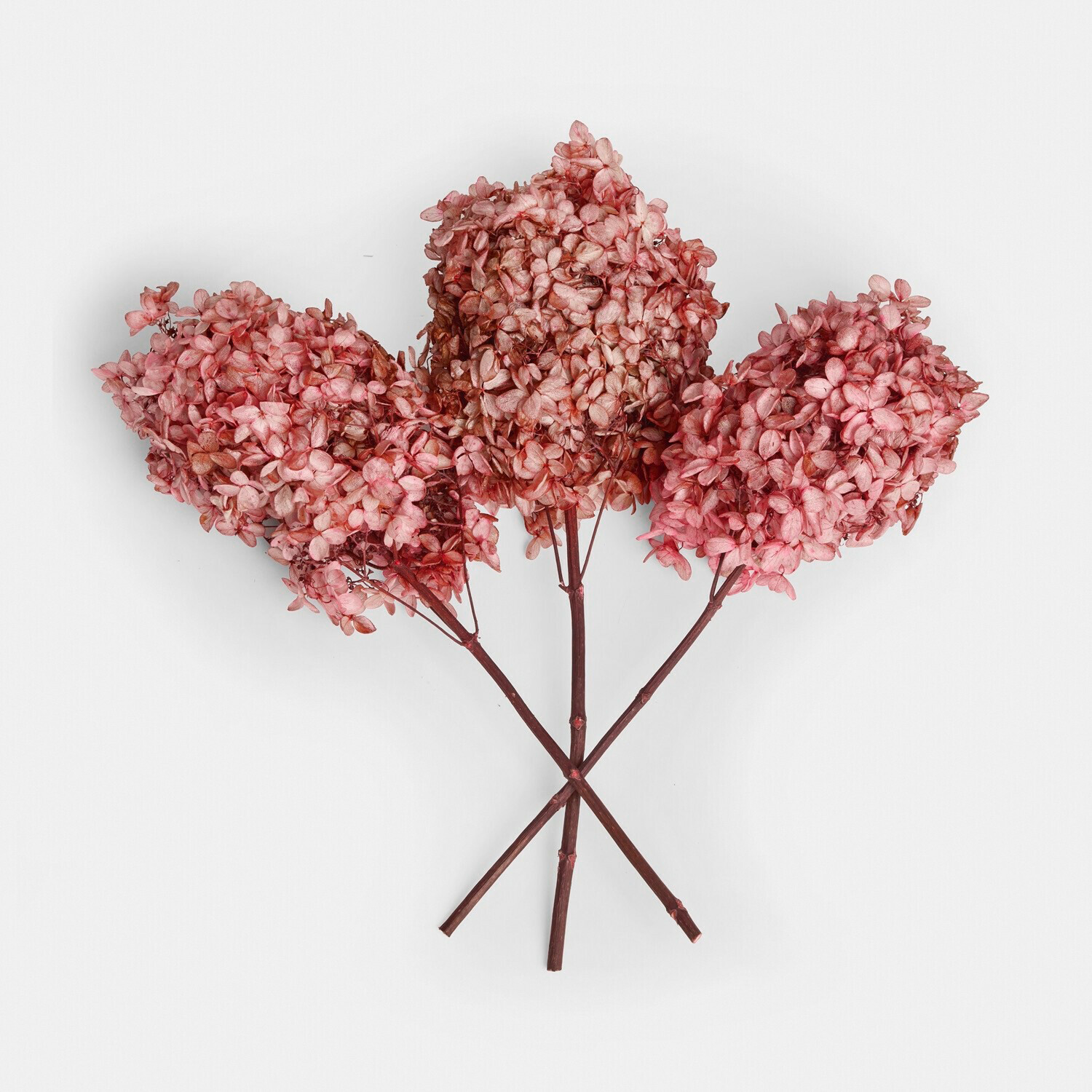 Trockenblume 3er Set Amélorie Drei getrocknete rosa Hortensienblüten für Wohnraumdekoration und Blumenarrangements