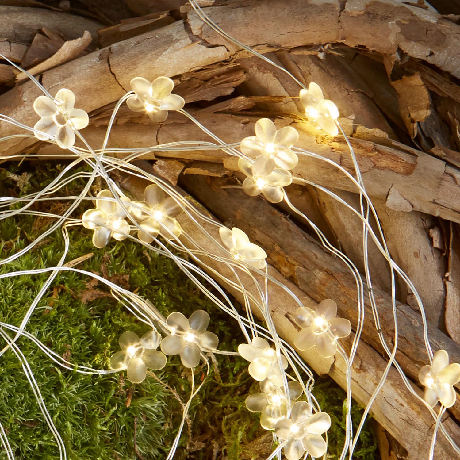 Lichterkette Francette
