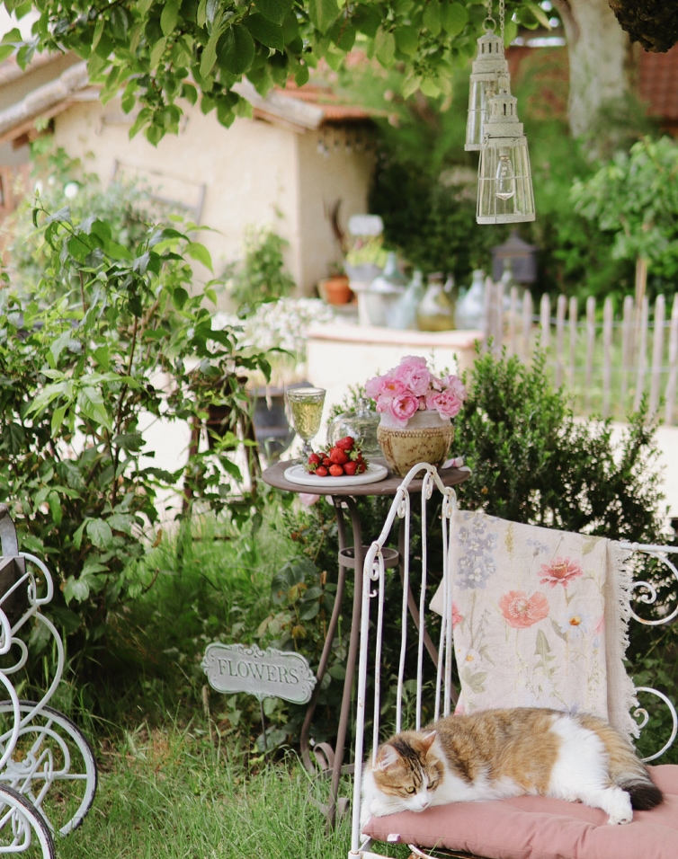Gemütlicher Garten mit Metalltisch, rosa Blumen und Katze auf rosa Kissen, Blumendekor