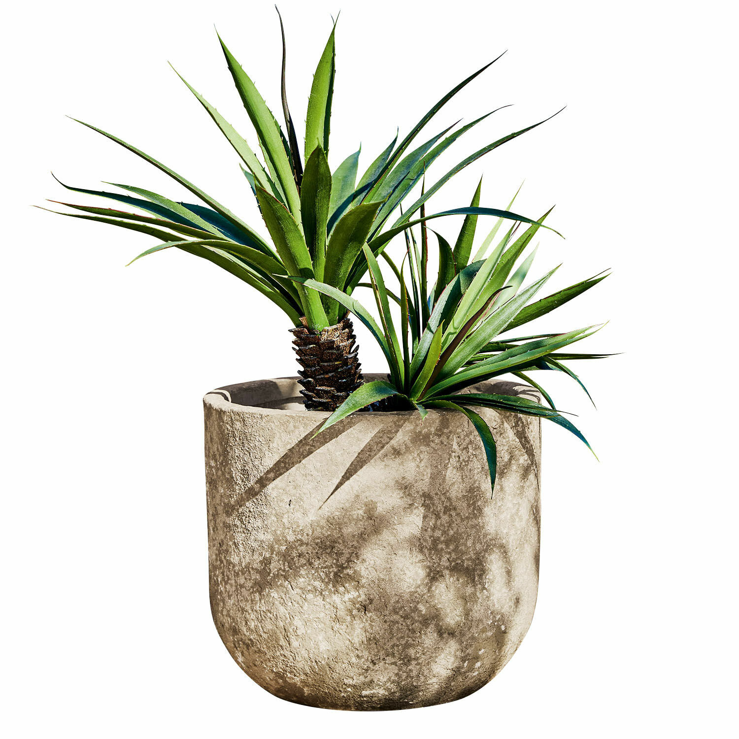 Übertopf Ela Grauer Betontopf mit grünen Dekopflanzen für moderne Wohn- und Gartengestaltung