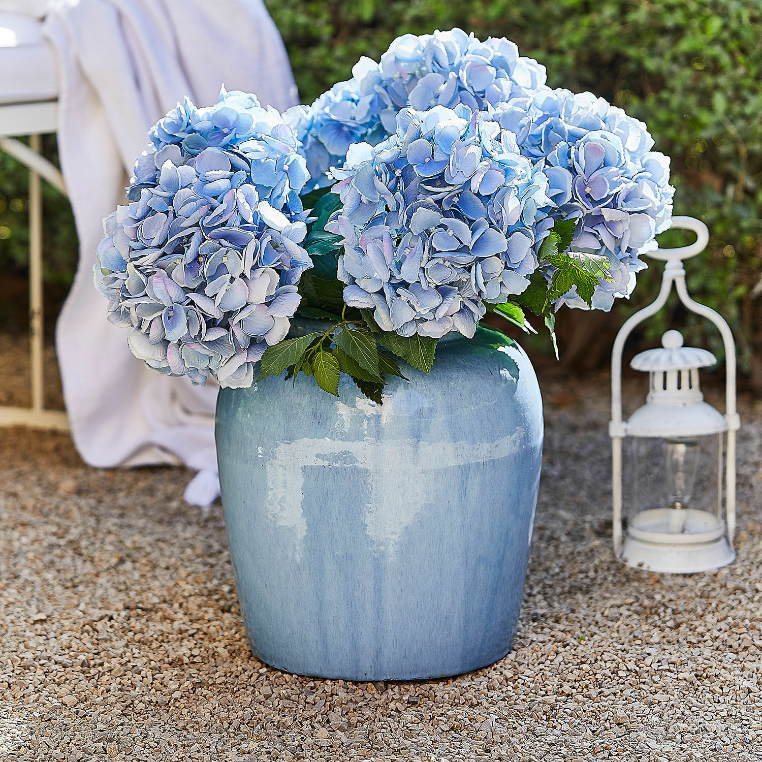 Vase Uxemir Grosse blaue Keramikvase mit hellblauen Hortensien auf Kies im Aussenbereich