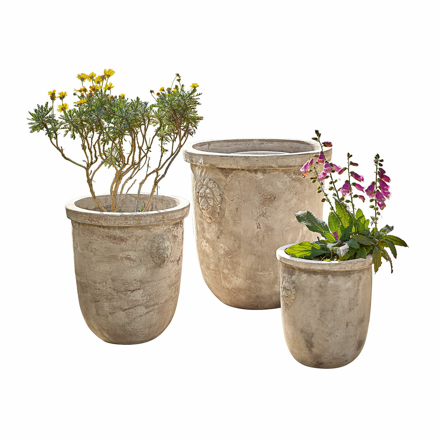 Übertopf 3er Set Autigny Drei graue Betontöpfe mit dekorativen Löwenköpfen, ideal für Gartenpflanzen.