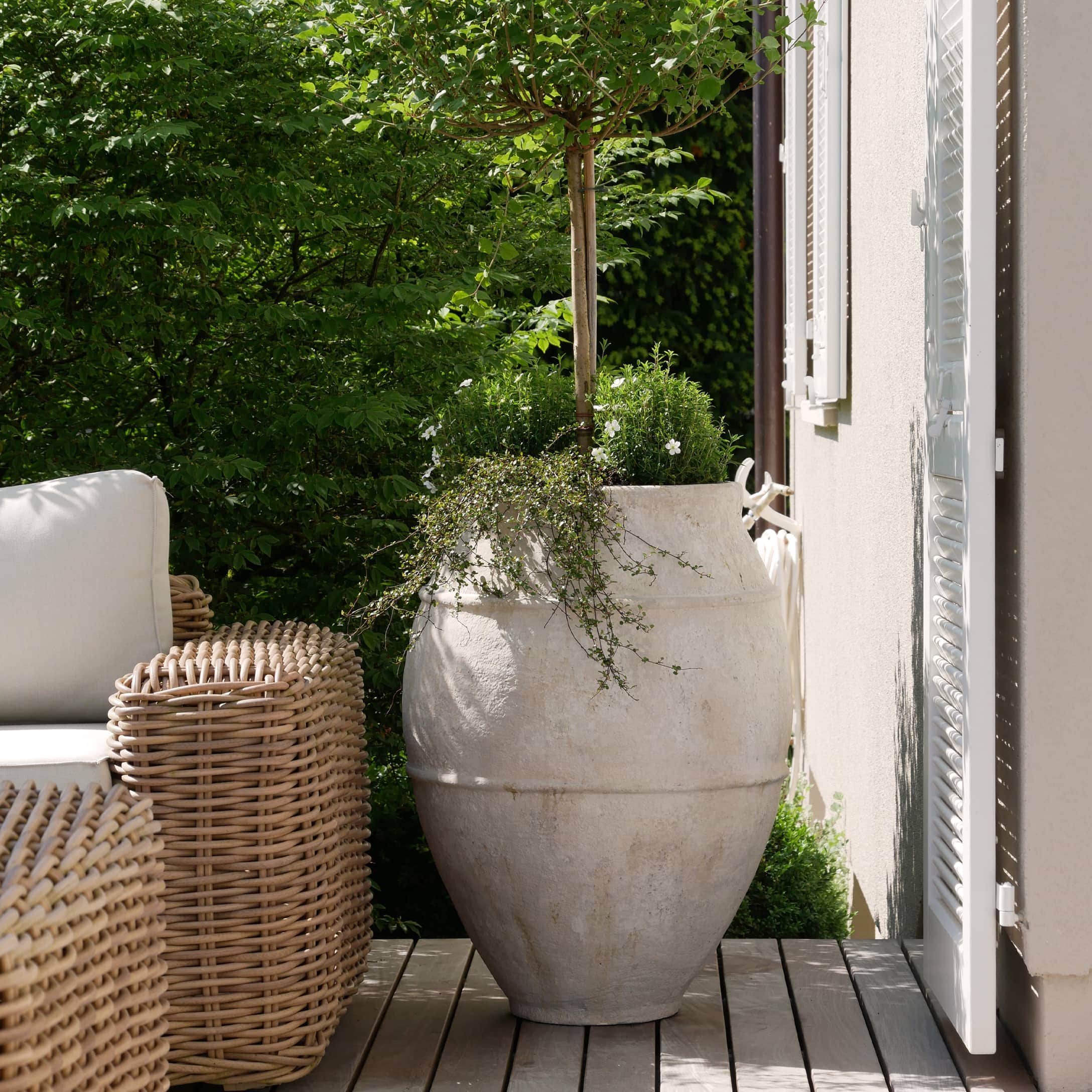 Grosser weisser Keramiktopf mit grünem Baum auf Terrasse neben Korbsessel aus Rattan