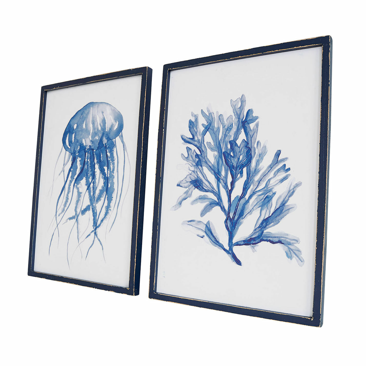 Wandbild 2er Set Dewey Set aus zwei maritimen Aquarellbildern mit Qualle und Meerespflanze in blauen Rahmen