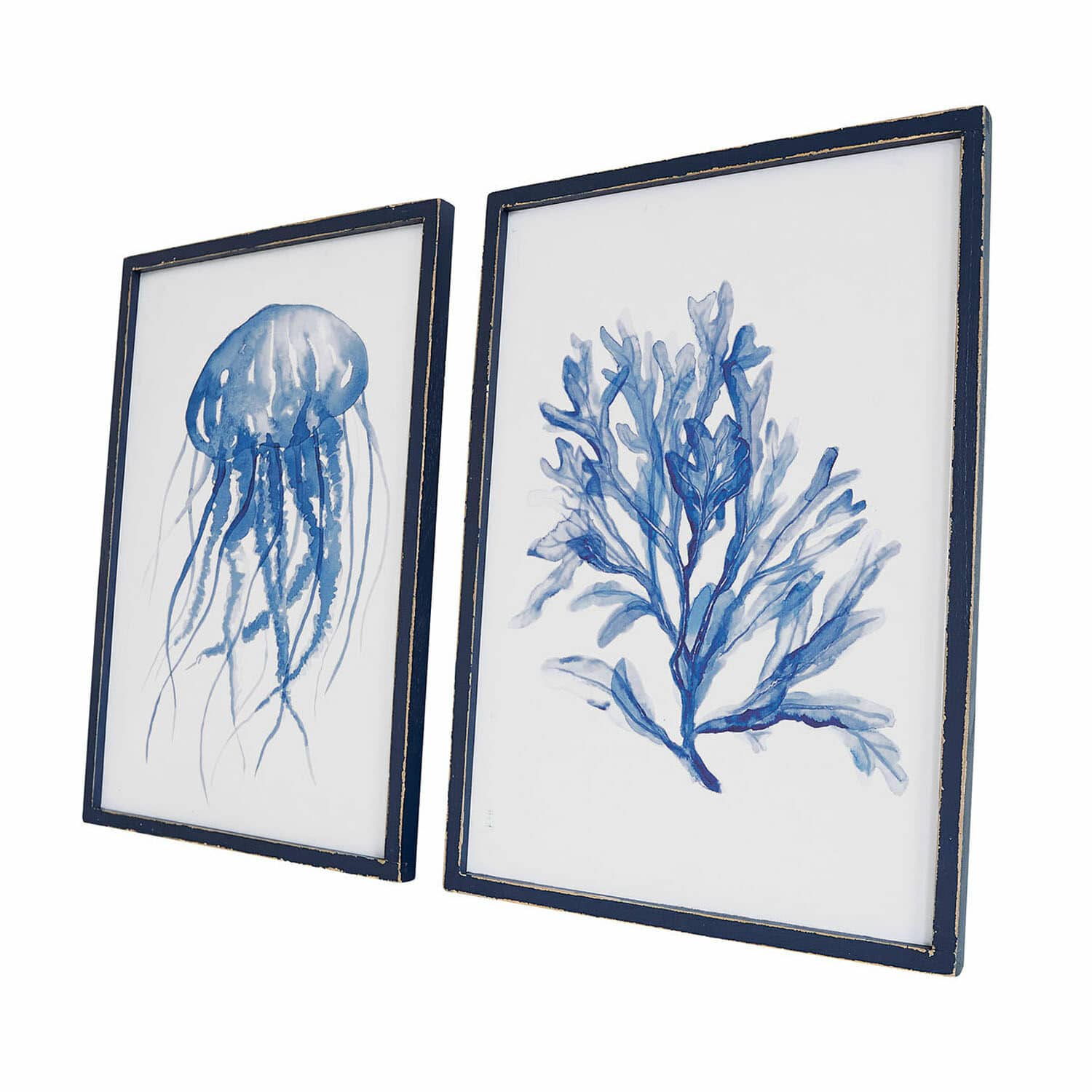Wandbild 2er Set Dewey Set aus zwei maritimen Aquarellbildern mit Qualle und Meerespflanze in blauen Rahmen