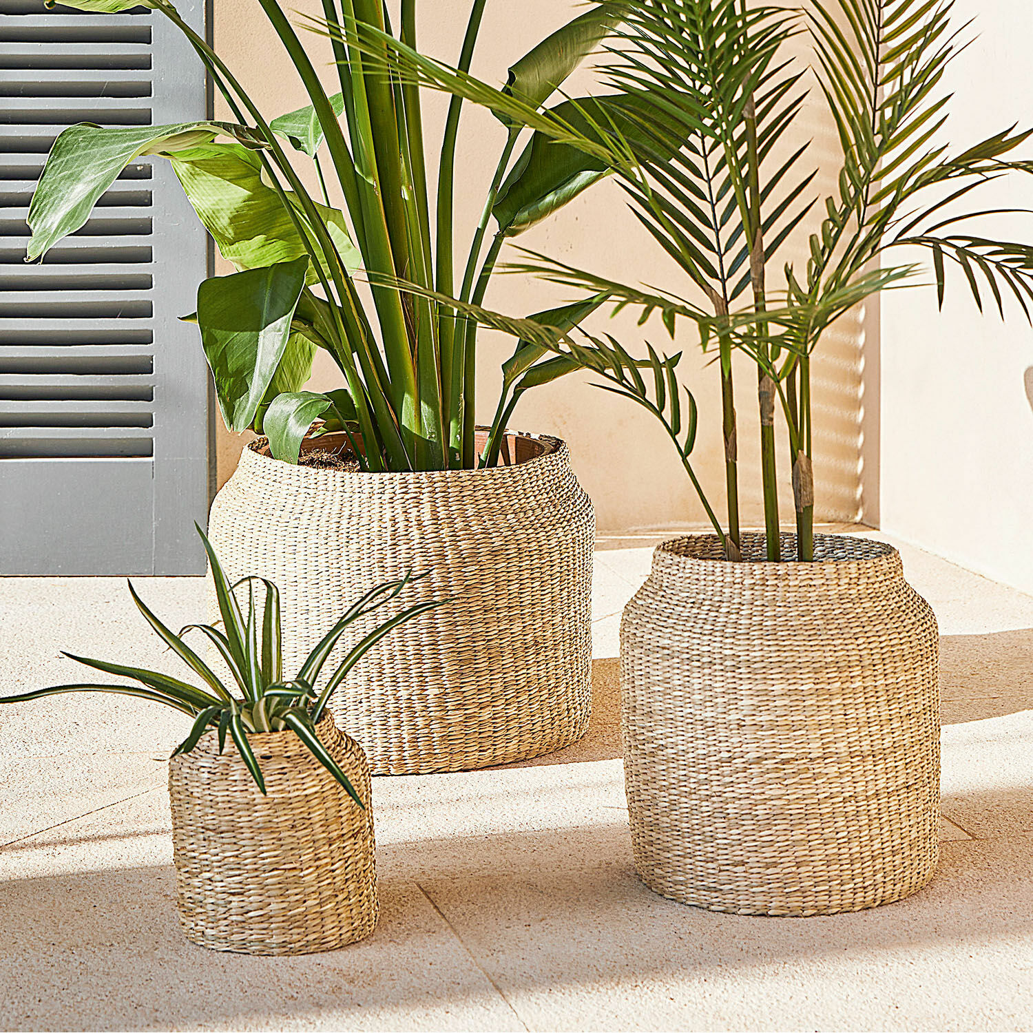 Übertopf 3er Set Elisha Drei natürliche Korbgefässe aus Weide für Pflanzen, ideal für Wohn- und Gartendekoration.