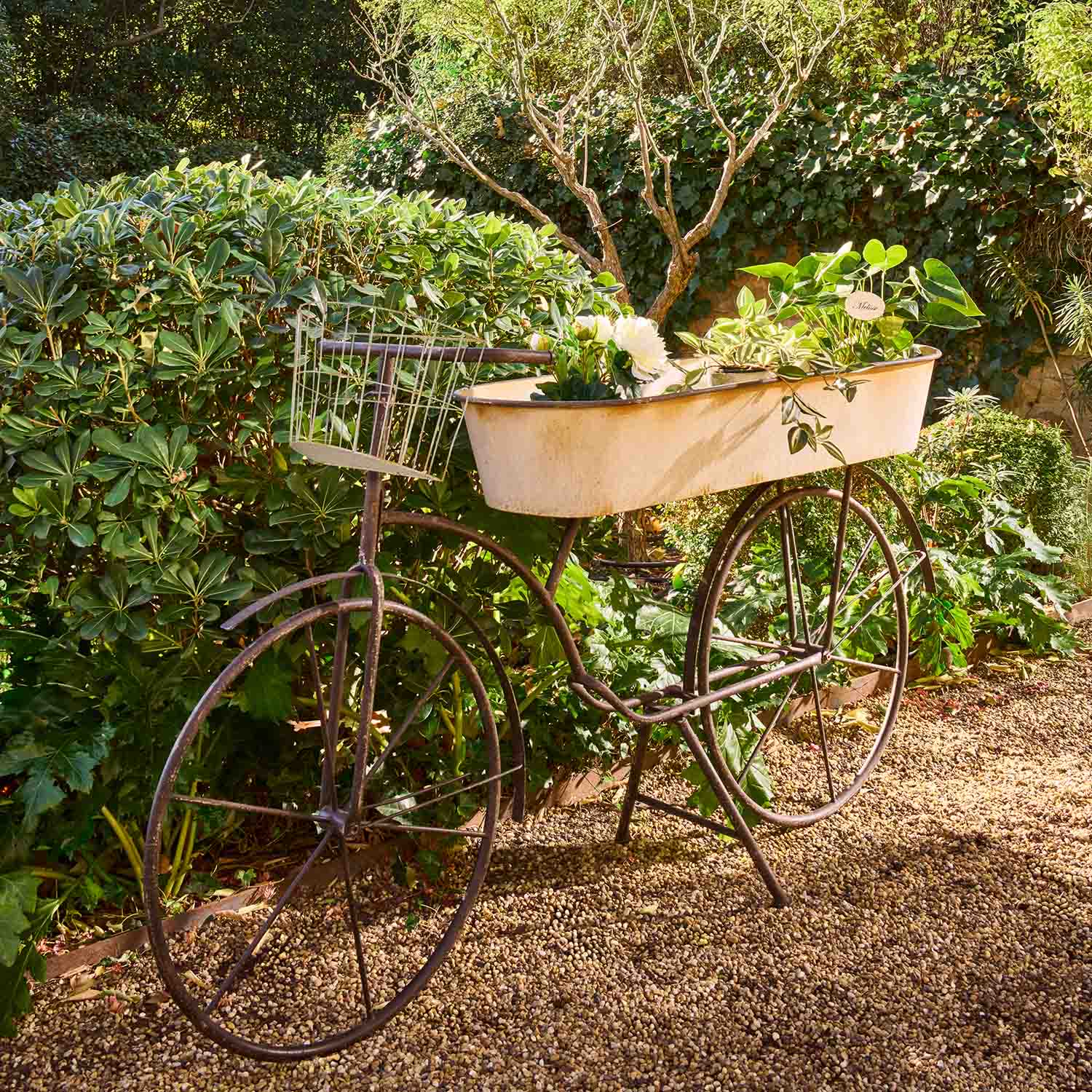 Metall-Dekorationsvelo mit weissem Pflanzgefäss und grünen Pflanzen im Garten auf Kiesweg