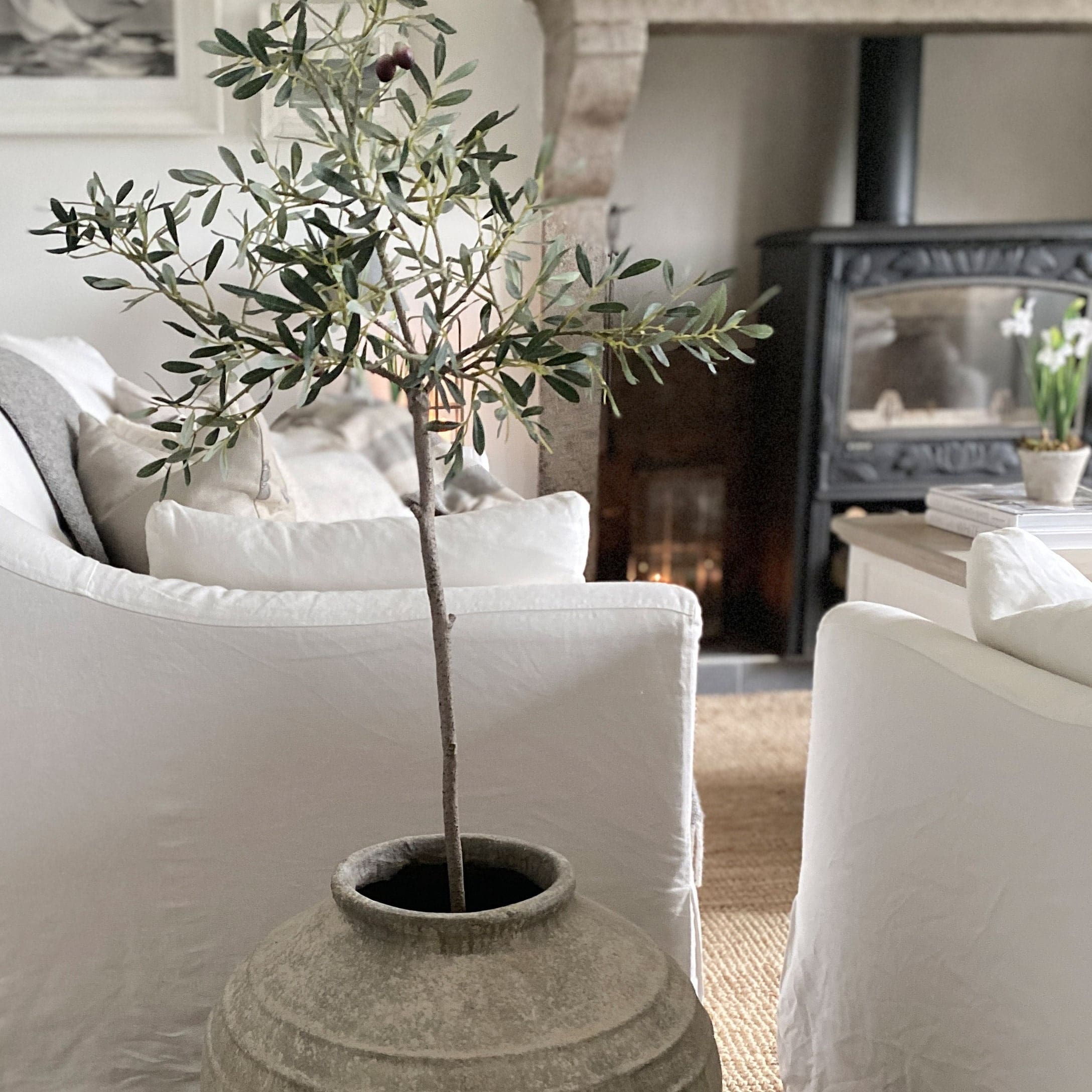 Dekorativer Olivenbaum in grosser grauer Keramikvase im hellen Wohnzimmer mit Cheminée