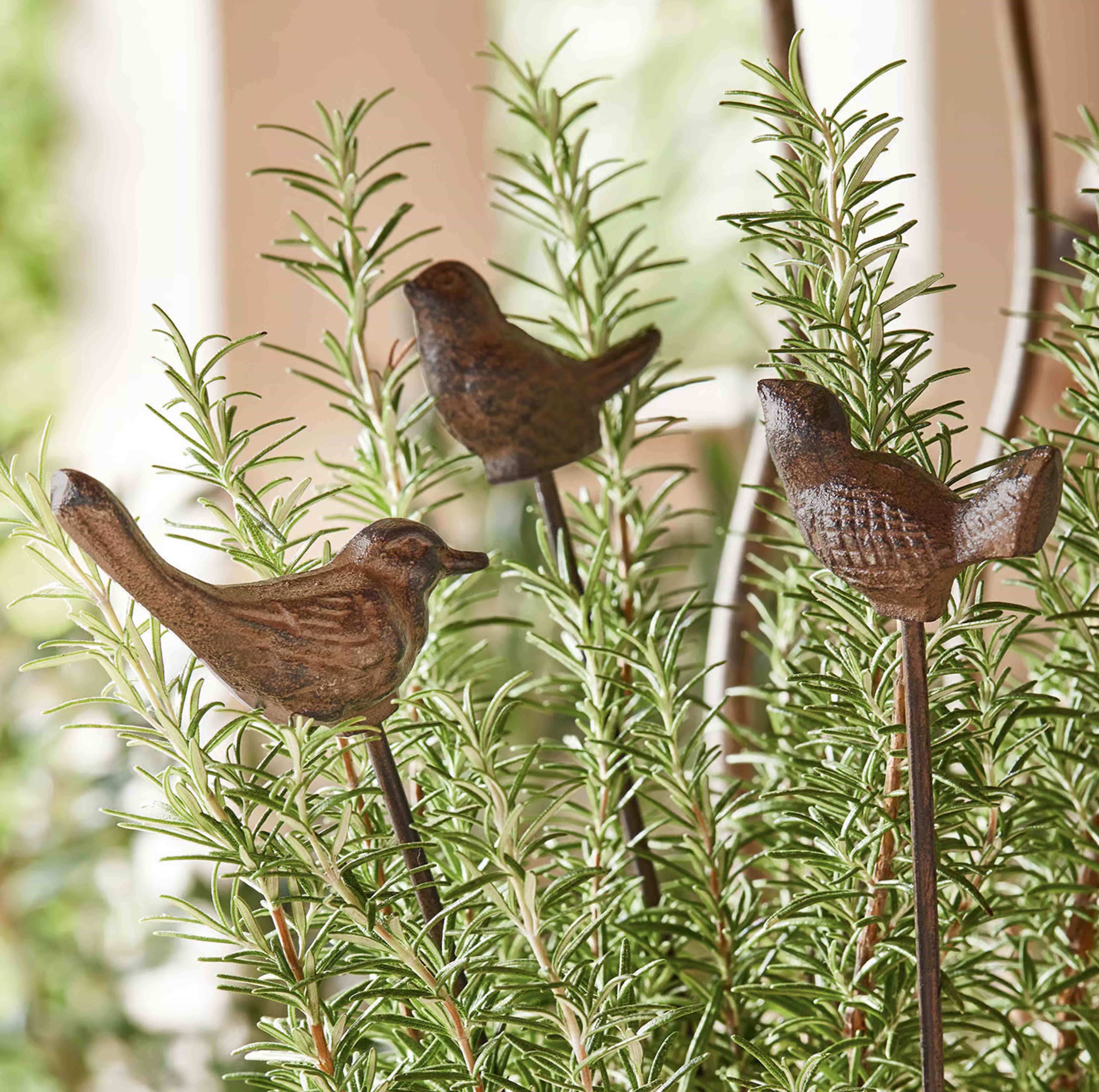 Dekorative Metallvögel auf Stäben zwischen grünen Rosmarinzweigen für Garten und Zuhause