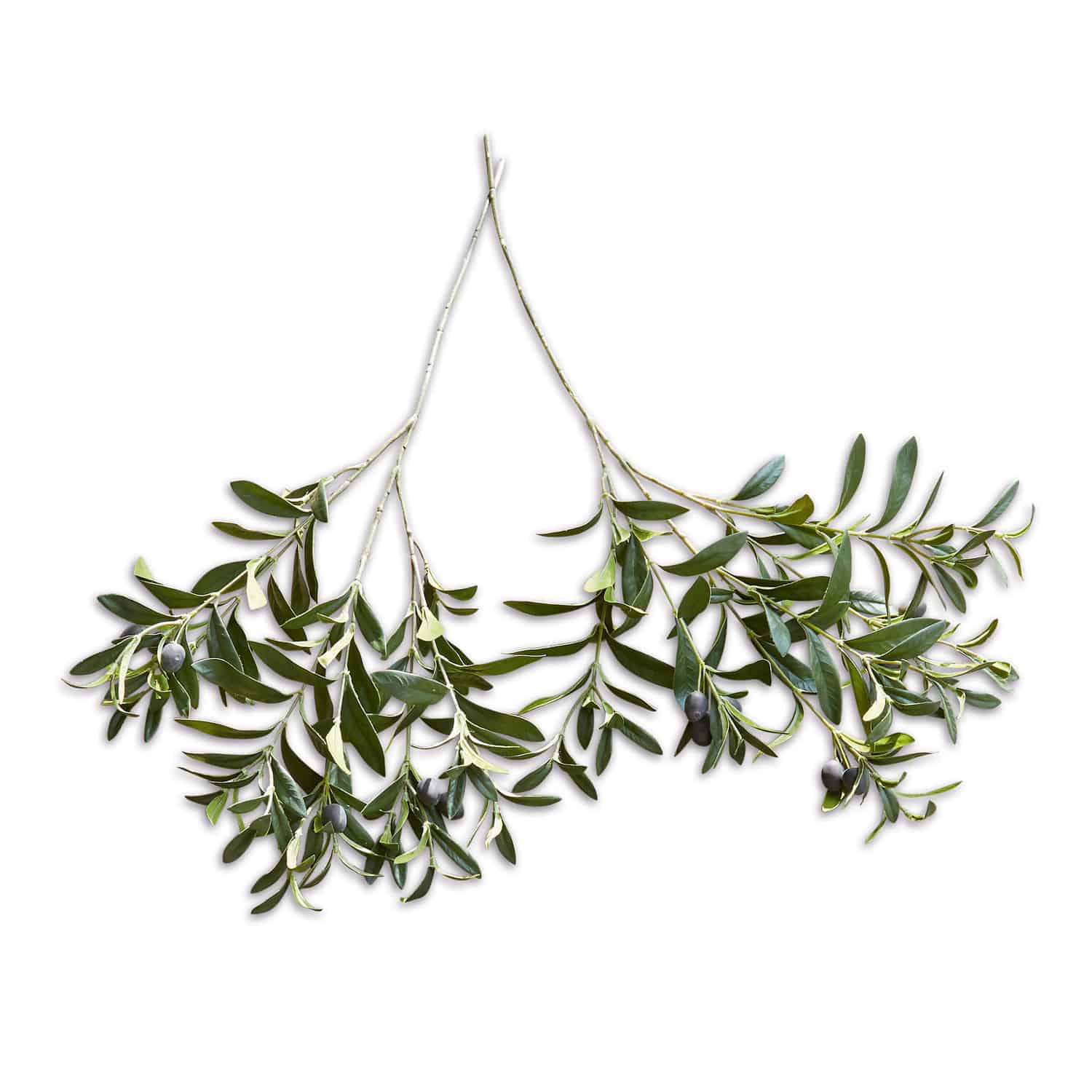 Deko-Olivenzweig 2er Set Olives Olivenzweige mit grünen Blättern und schwarzen Oliven auf weissem Hintergrund, natürliche Dekoration