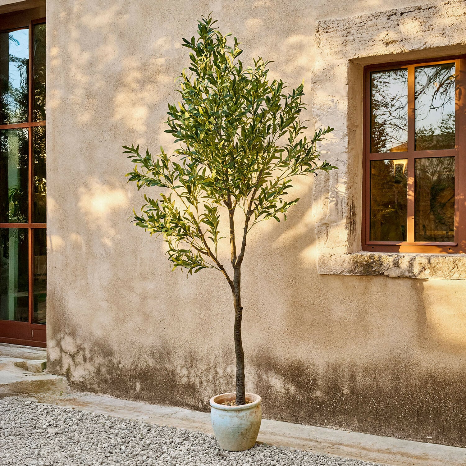 Deko-Olivenbaum Faelira Olivenbaum in hellbeigem Topf vor Wand mit Fenster, Pflanze für Garten und Terrasse
