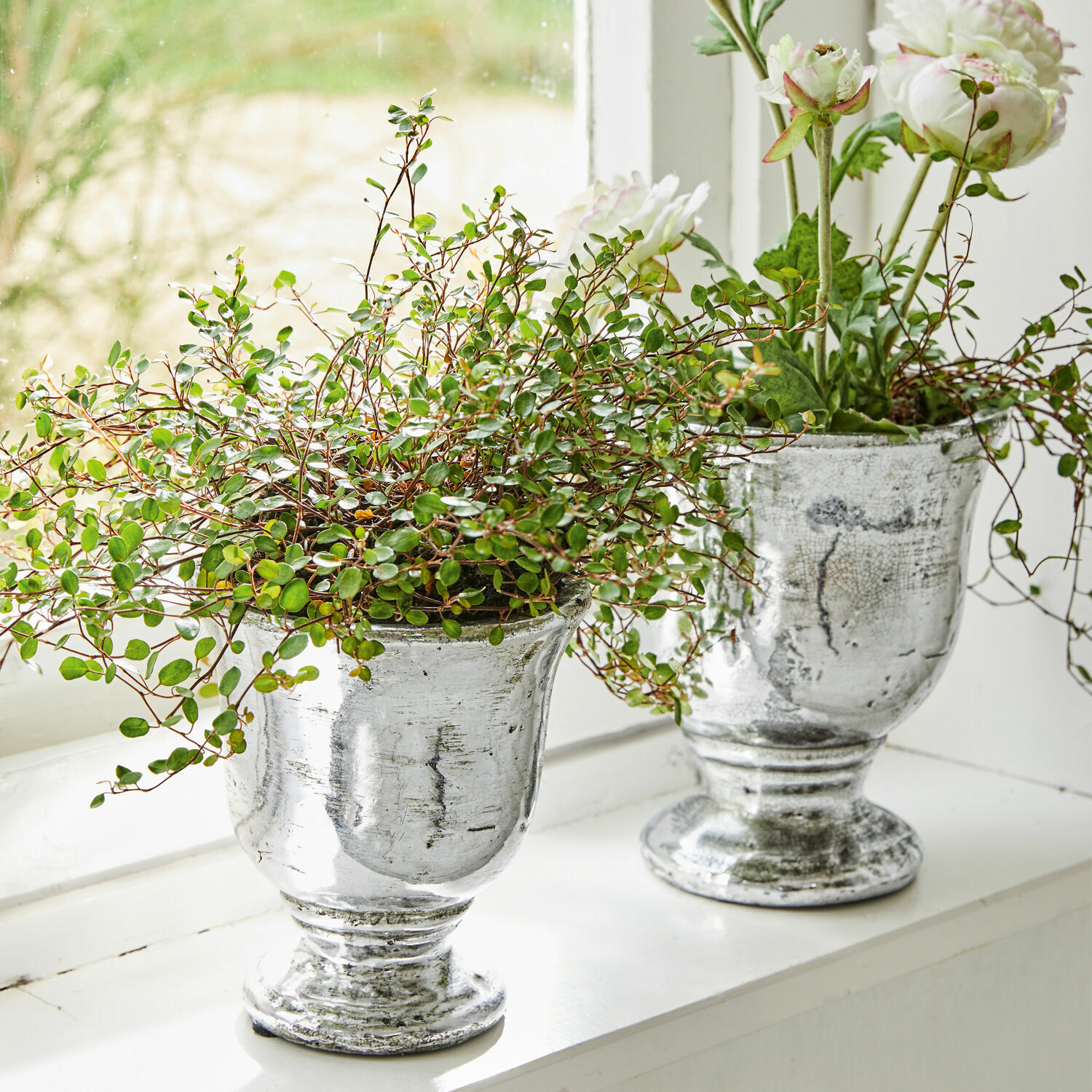 Zwei silberne Metallvasen mit Pflanzen auf der Fensterbank, stilvolle Wohnraumdekoration