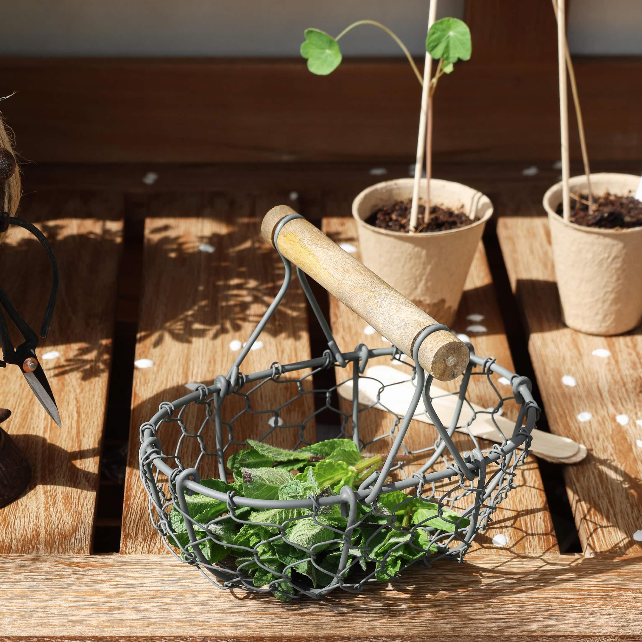 Metallkorb mit Holzgriff und grünen Blättern auf Holztisch für Gartenbedarf