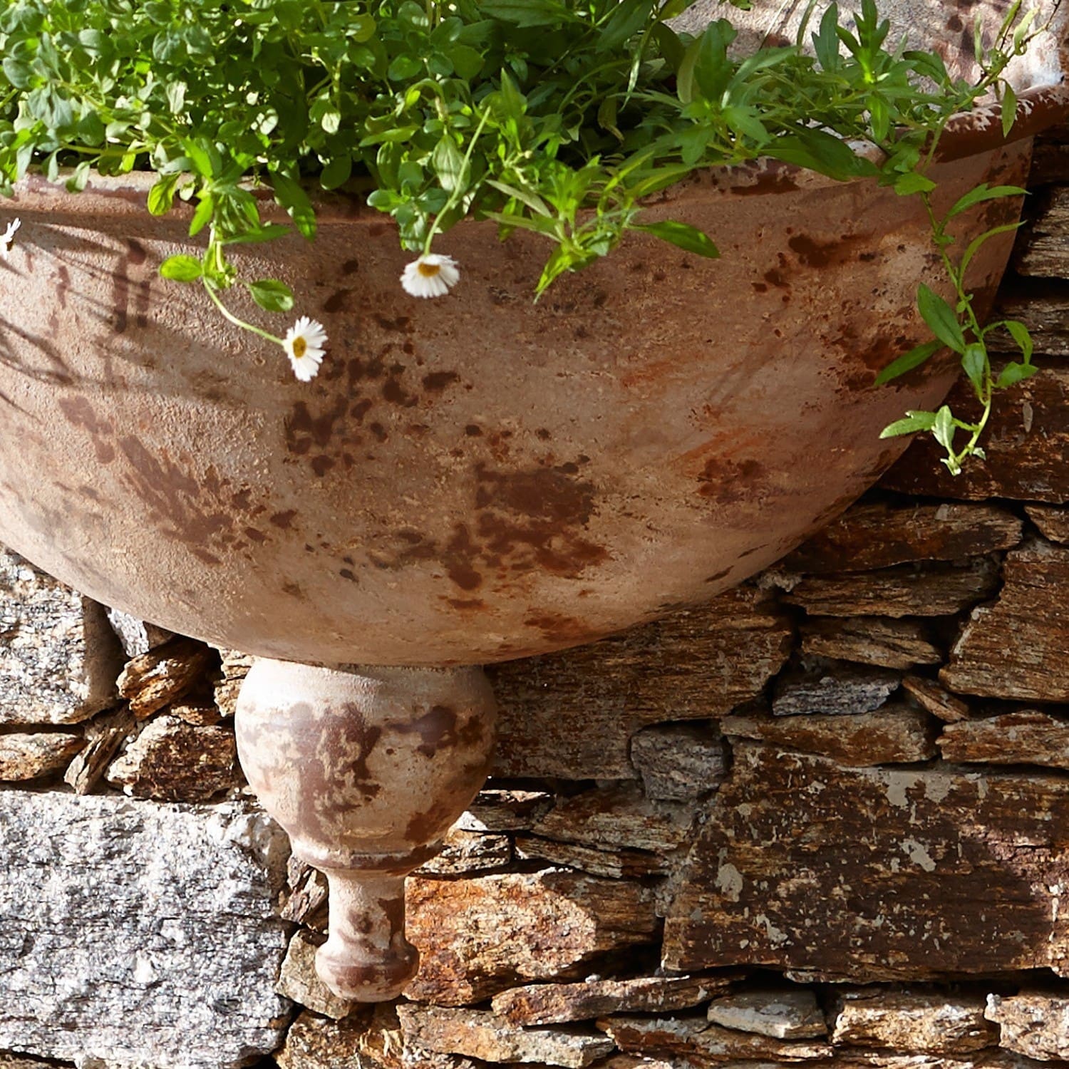 Pflanzbrunnen Ceilloux