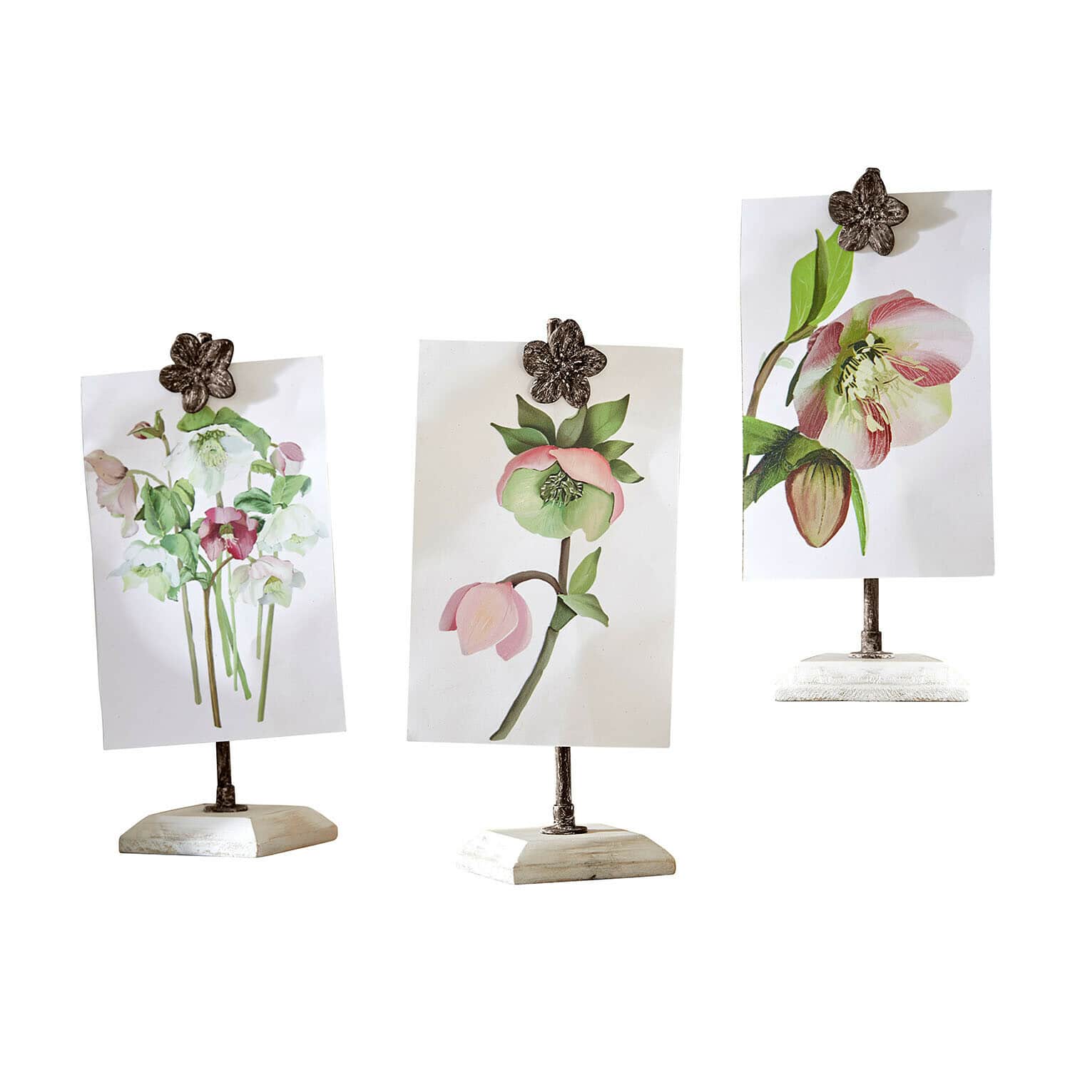 Drei Ständer mit blumenförmigen Klammern auf weissen Sockeln mit Blumenillustrationen