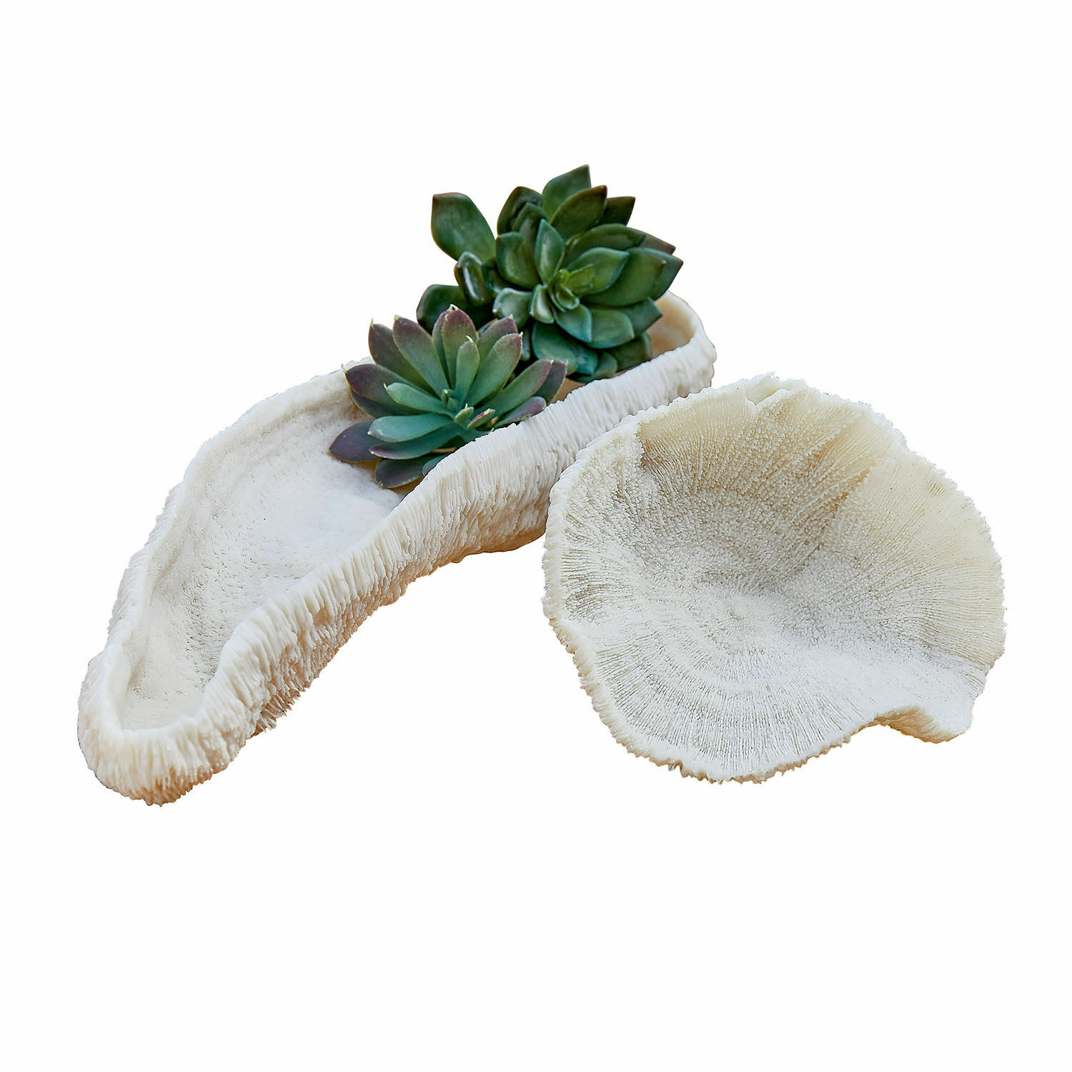 Deko-Schale 2er Set Faro