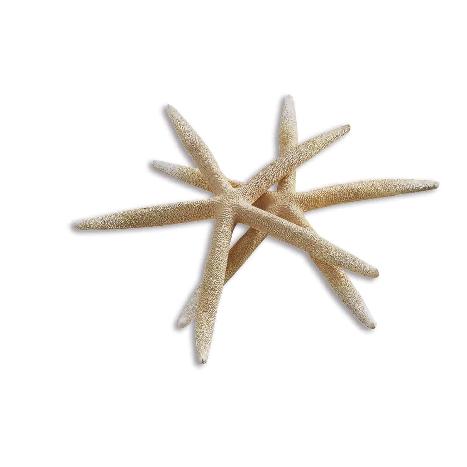 Deko-Seestern 2er Set Divna