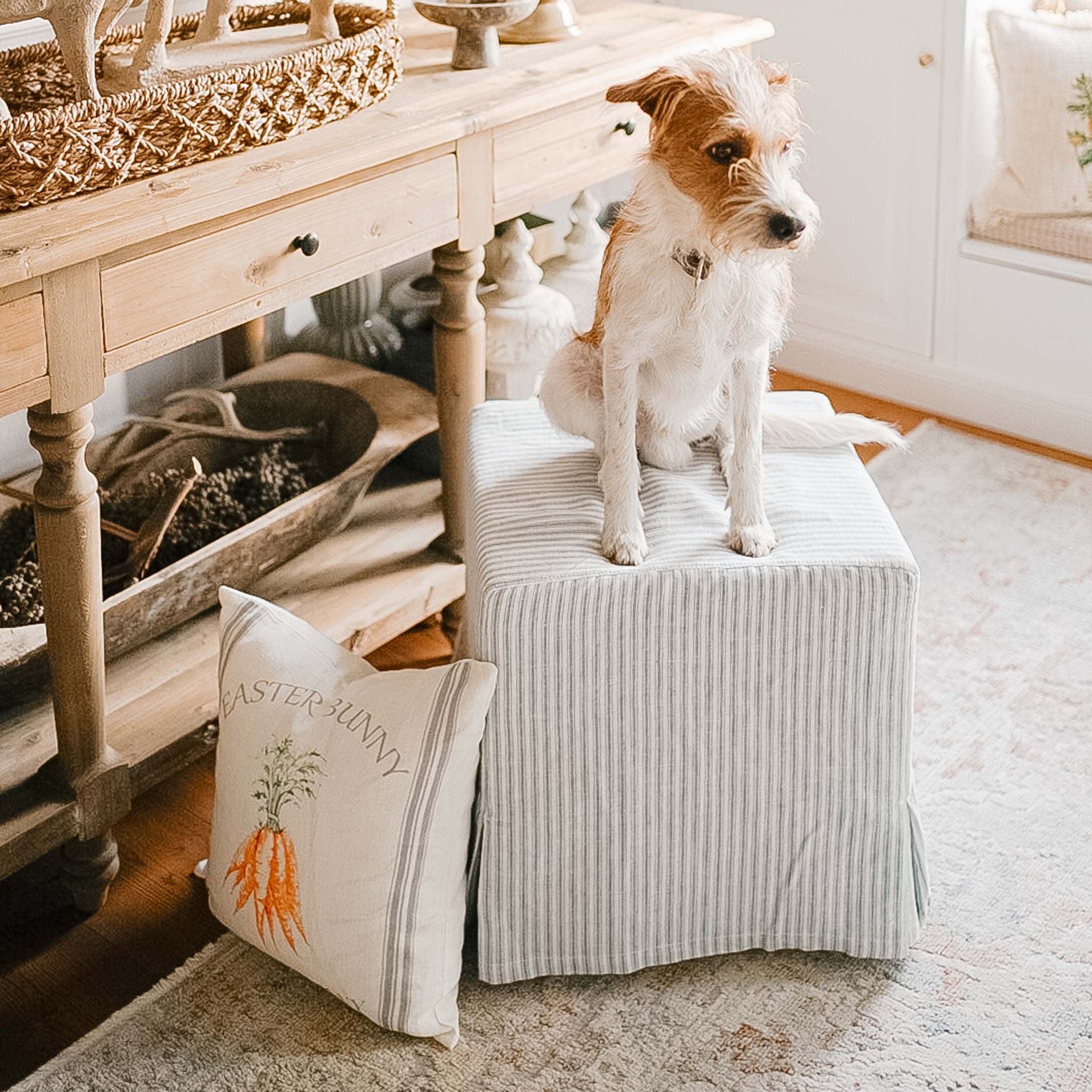 Gestreifter Stoffhocker in Weiss und Grau mit Hund und dekorativem Kissen mit Karottenmotiv