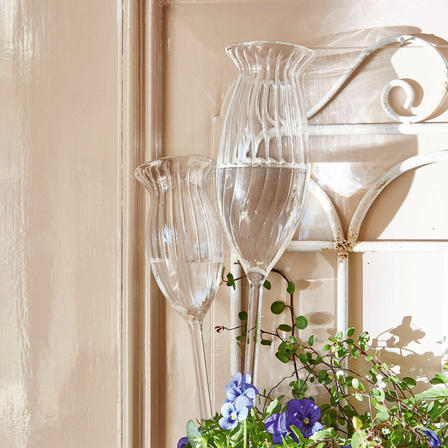 Bewässerungshilfe 2er Set Radisa Glasgartenstecker aus klarem Glas mit Wasser und violetten Blumen vor beiger Wand
