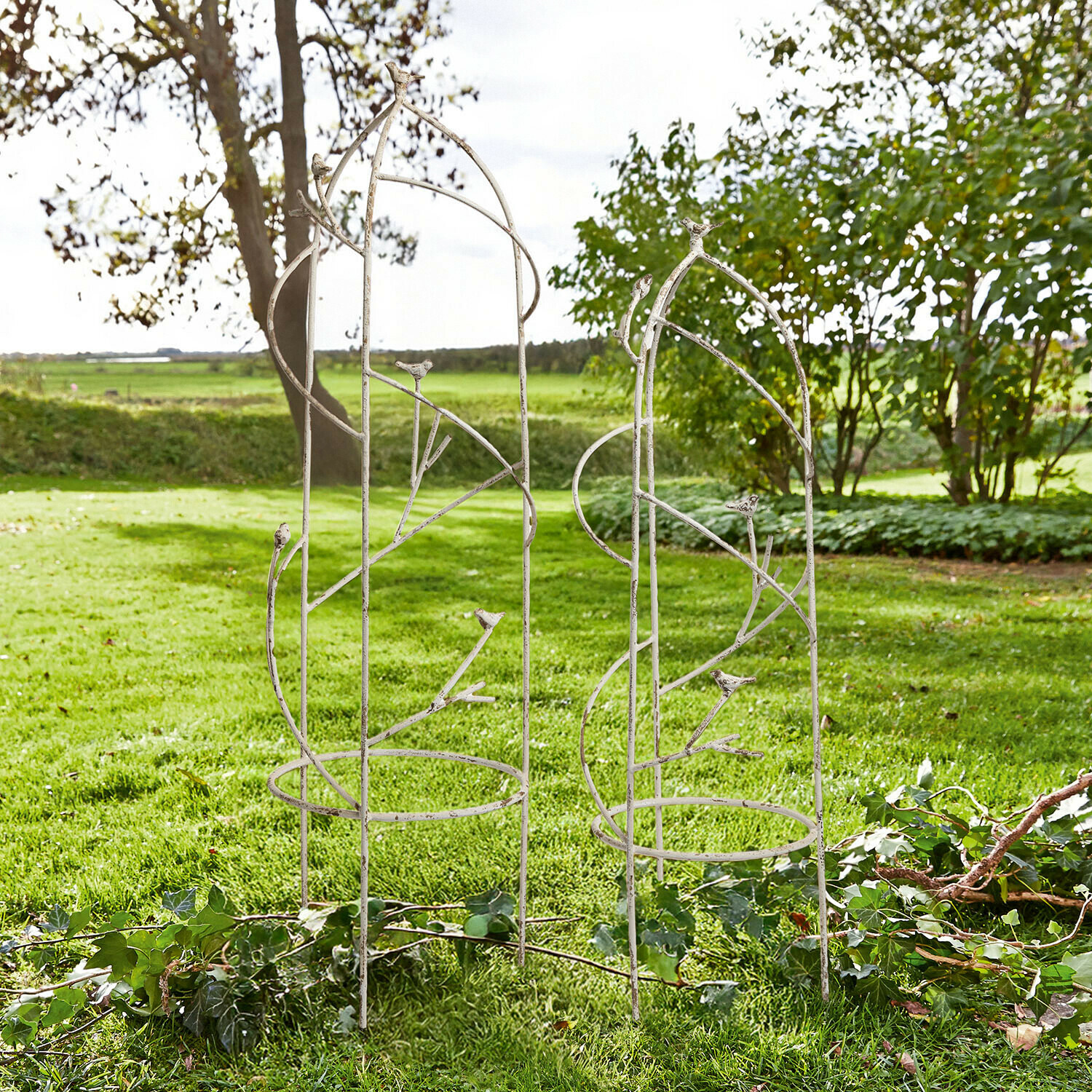 Weisse Metall-Gartenpergola mit Vogelverzierung, ideal als Rankhilfe für Kletterpflanzen