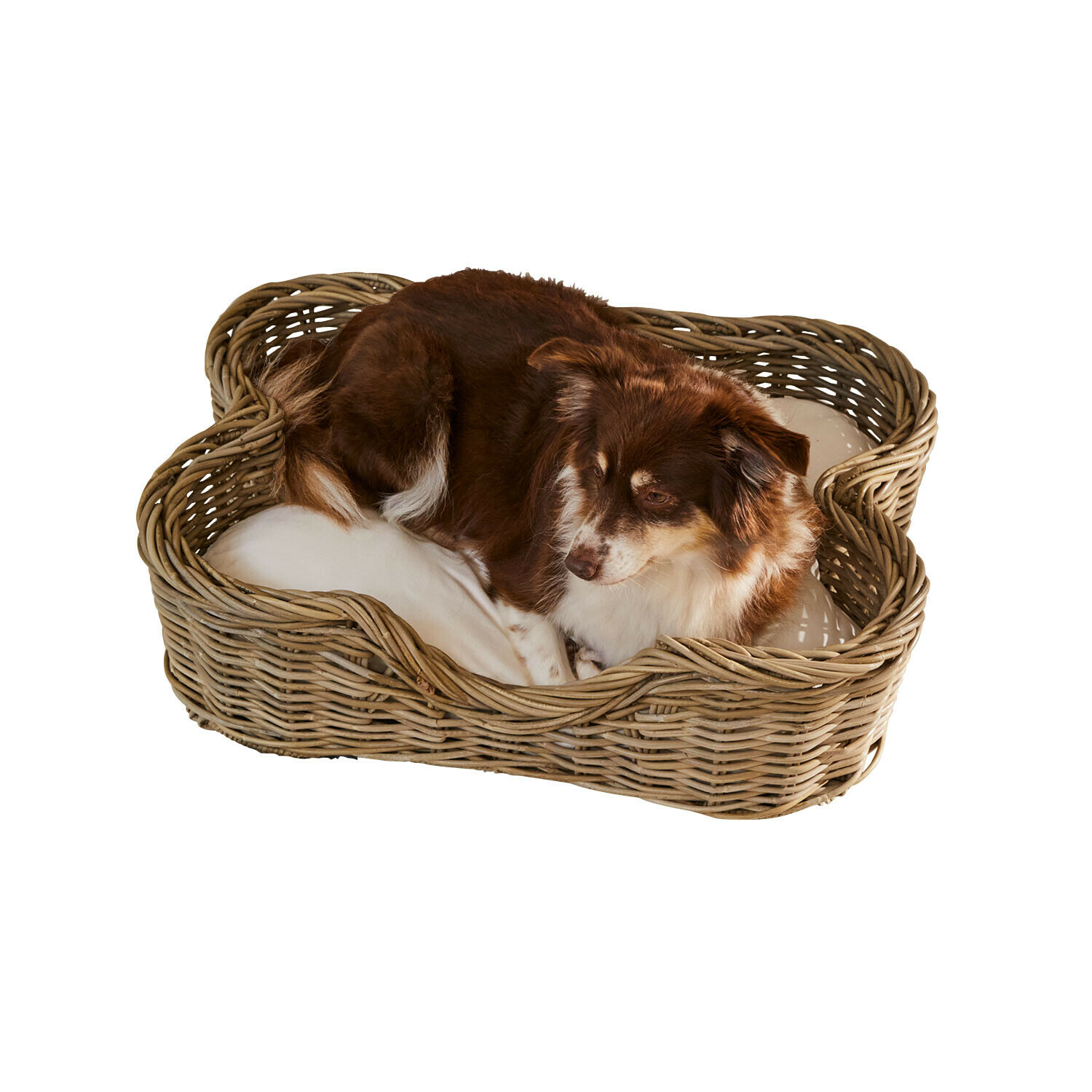 Hundekorb Ninloo