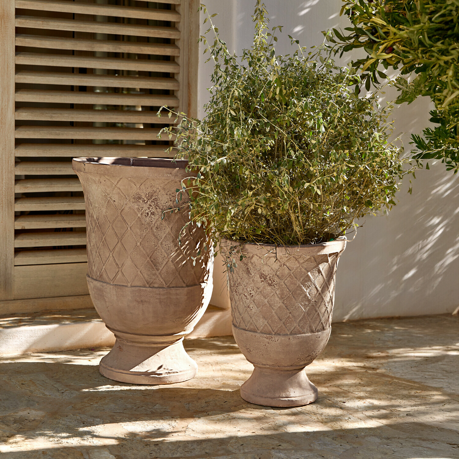 Übertopf 2er Set Kivolex Zwei beige Terrakotta-Blumentöpfe mit geometrischem Muster, einer mit grüner Pflanze, auf sonniger Terrasse