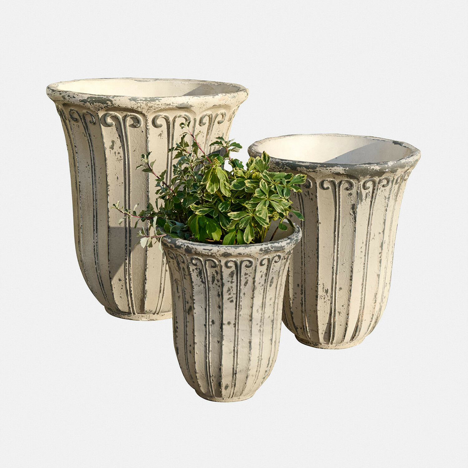 Übertopf 3er Set Méravon Set mit drei cremefarbenen, antik wirkenden Pflanzgefässen mit Pflanze, Gartendekoration aus Zement