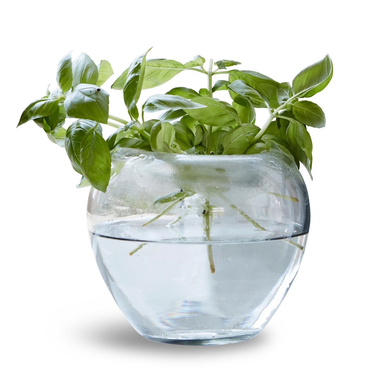 Vase Adana