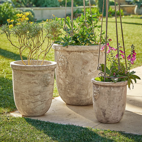 Drei graue Shabby-Chic-Zementblumentöpfe mit Pflanzen im Garten auf der Terrasse