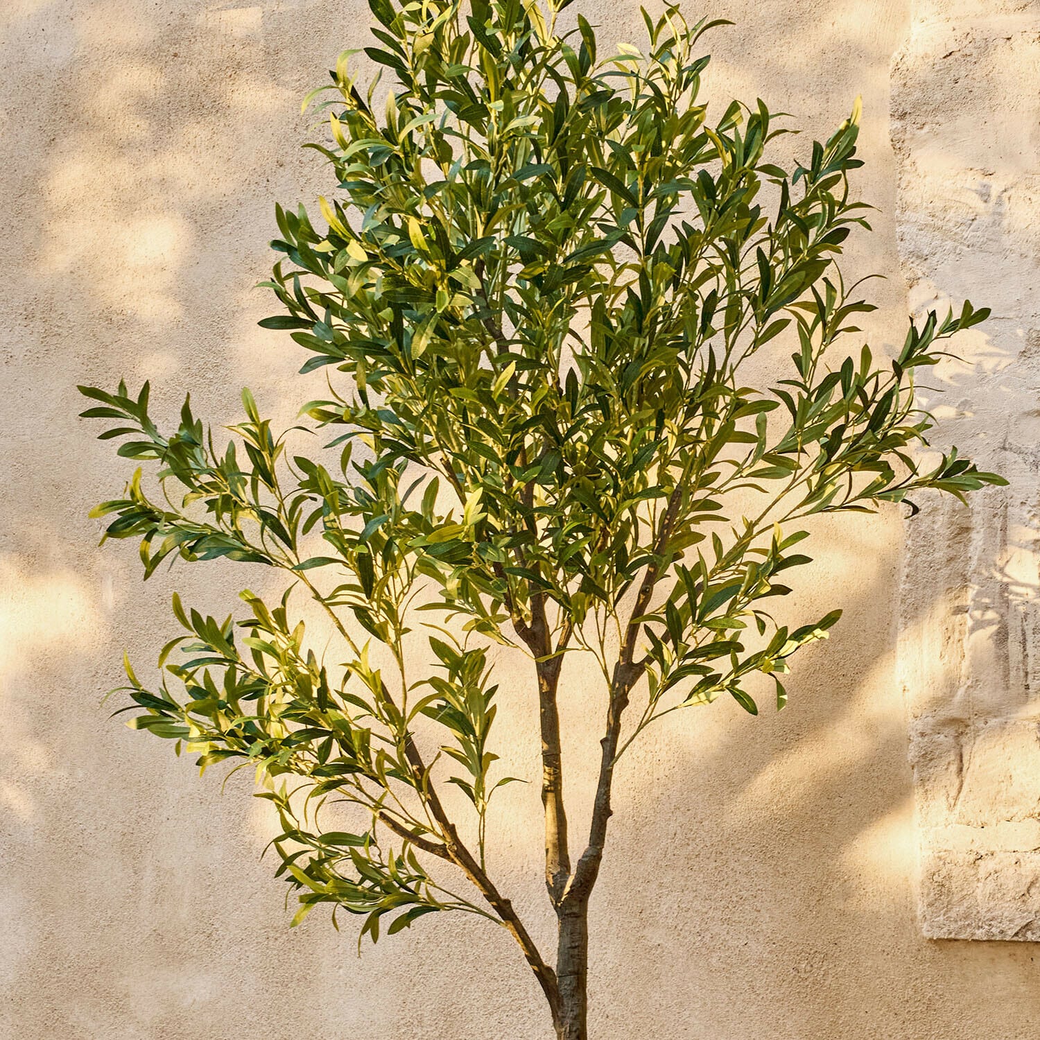 Deko-Olivenbaum Faelira