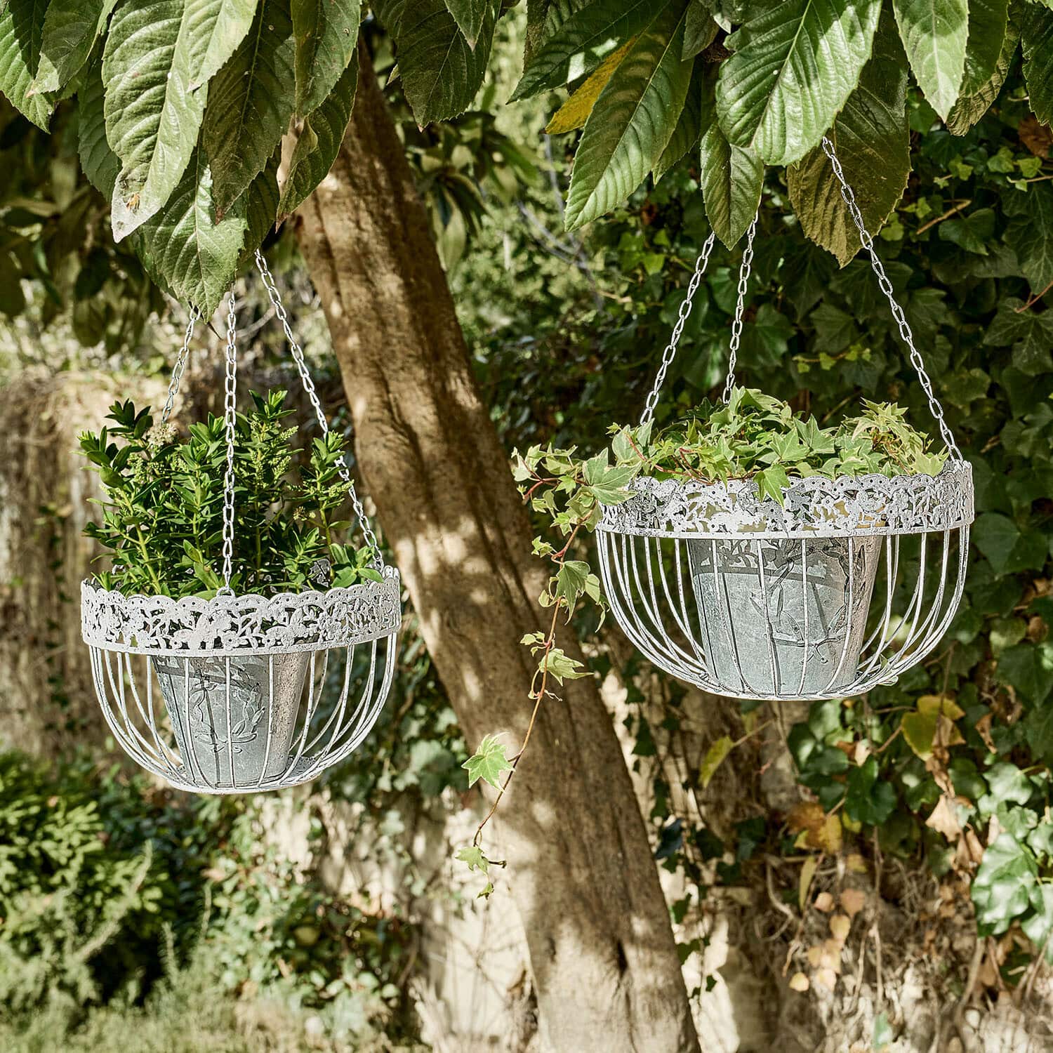 Hängekorb 2er Set Iveralia Zwei weisse Metall-Hängekörbe mit grünen Pflanzen, hängend an einem Baum im Garten