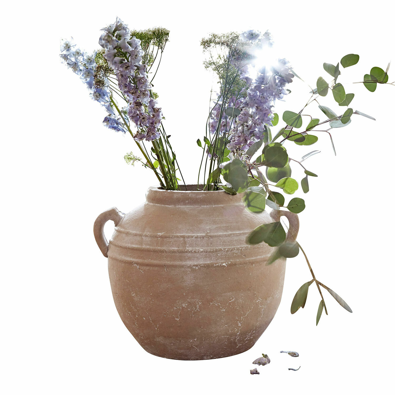 Vase Vicenç