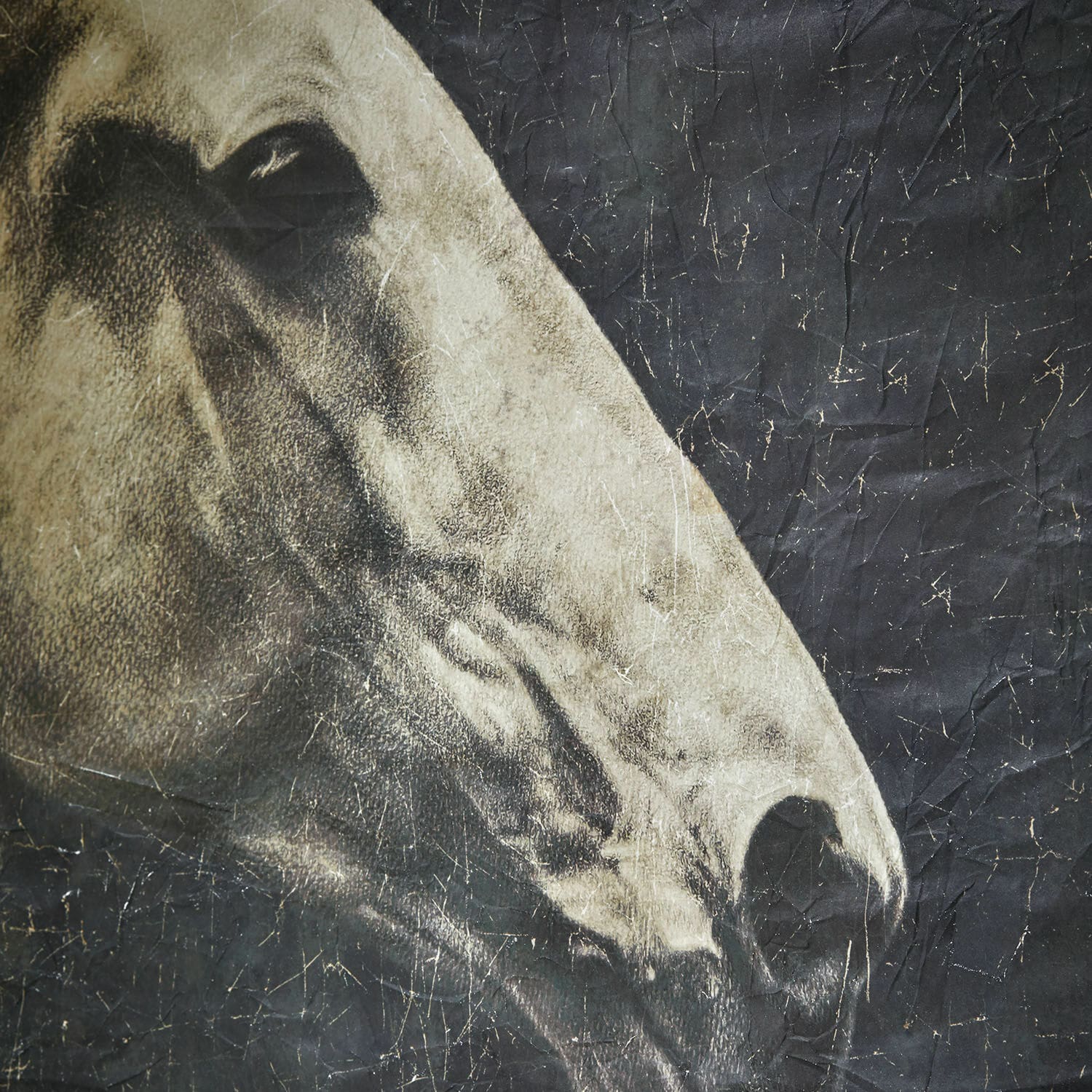 Bild Ravonnach