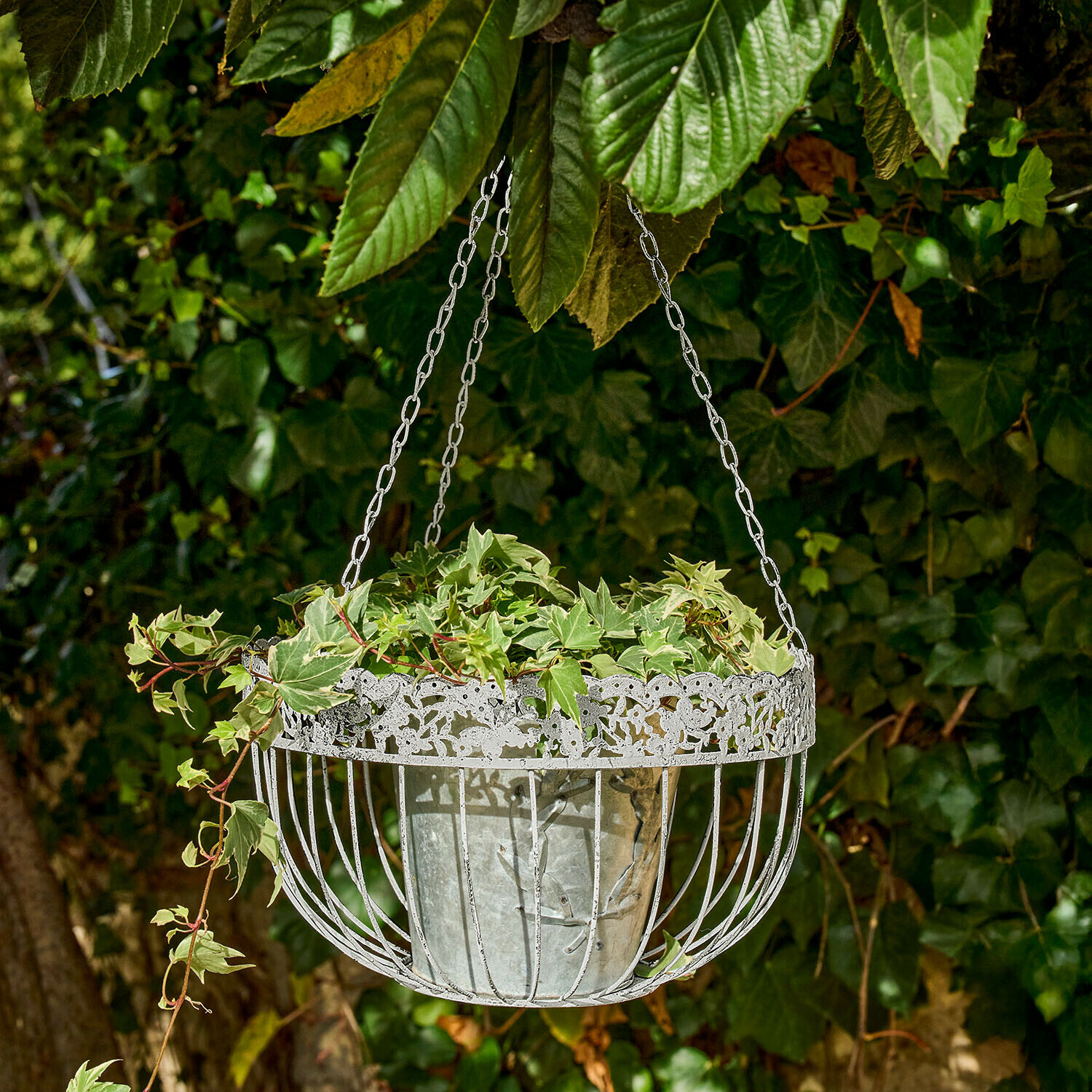 Hängekorb 2er Set Iveralia