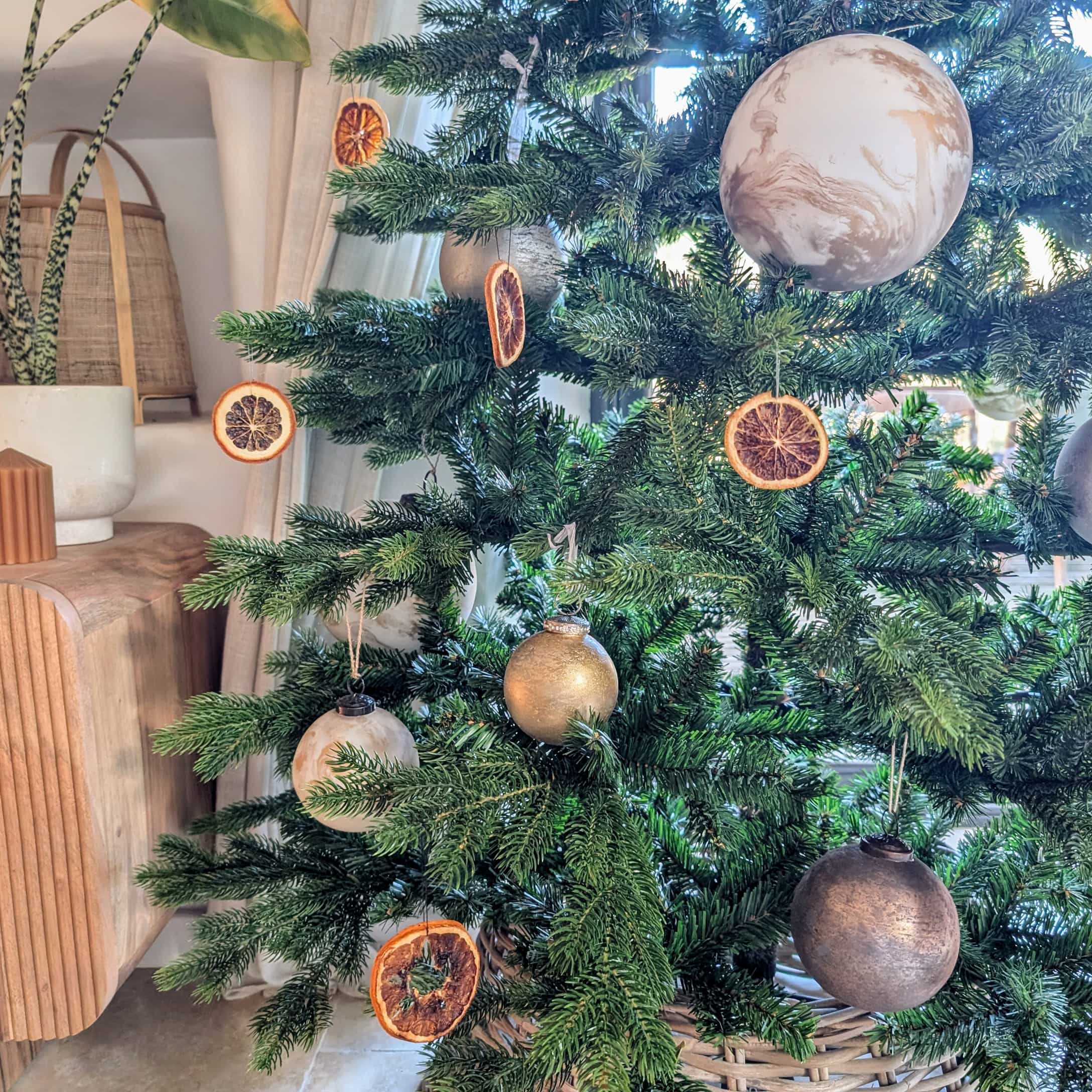 Grüner Weihnachtsbaum, dekoriert mit natürlichen, getrockneten Orangenscheiben und gold-beigen Kugeln.