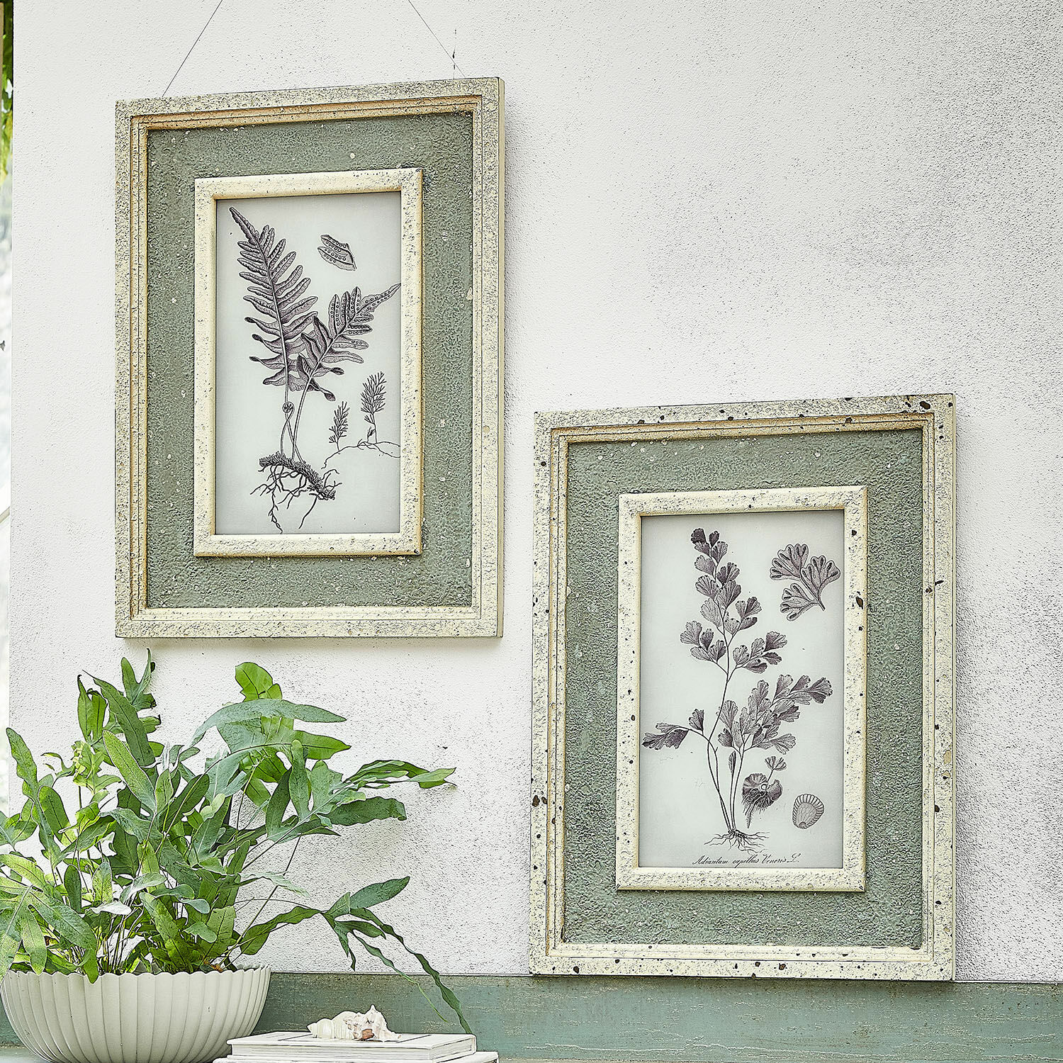 Bild 2er Set Cerilav Zwei grüne Wandrahmen mit botanischen Zeichnungen und Struktur an weisser Wand im Vintage-Stil