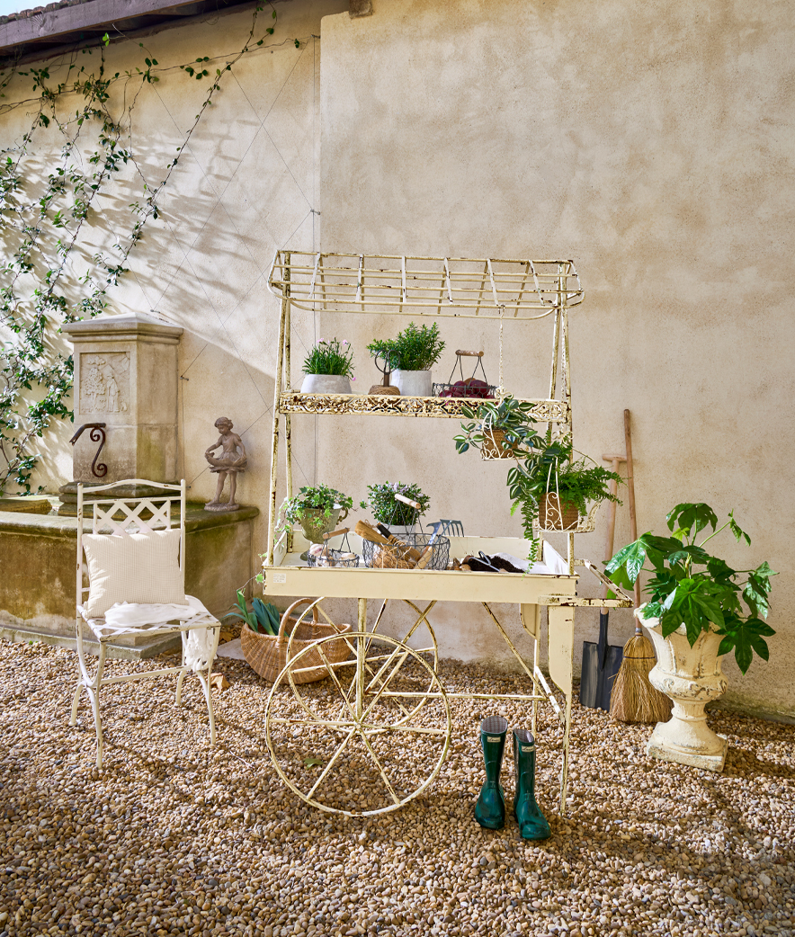 Pflanzenliebe im French Style