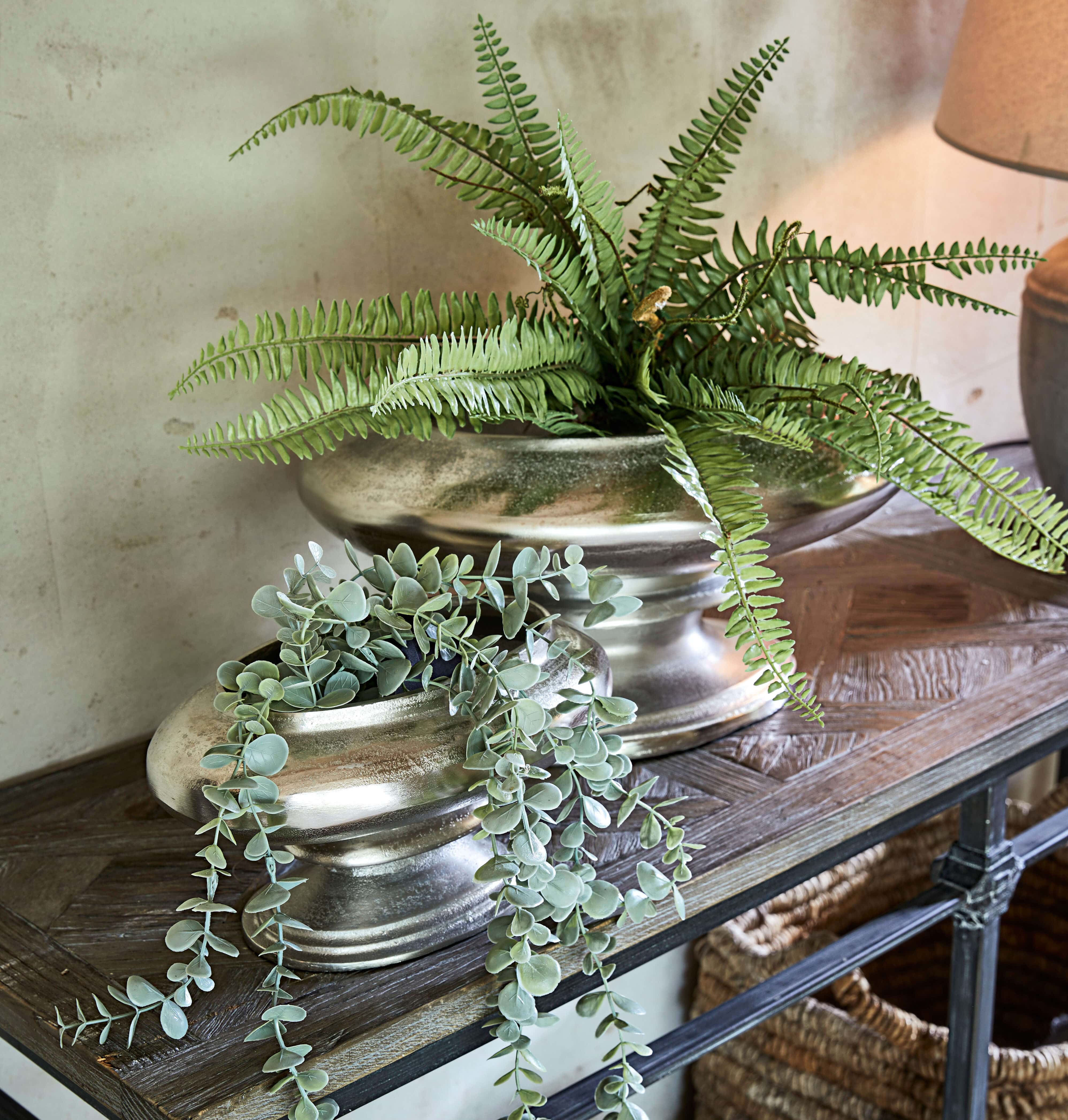 Dekorative silberne Aluminiumschalen mit grünen Pflanzen auf dem Holztisch im Wohnzimmer