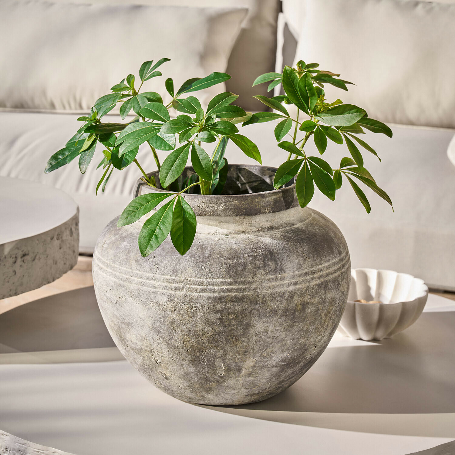 Vase Haldoríe