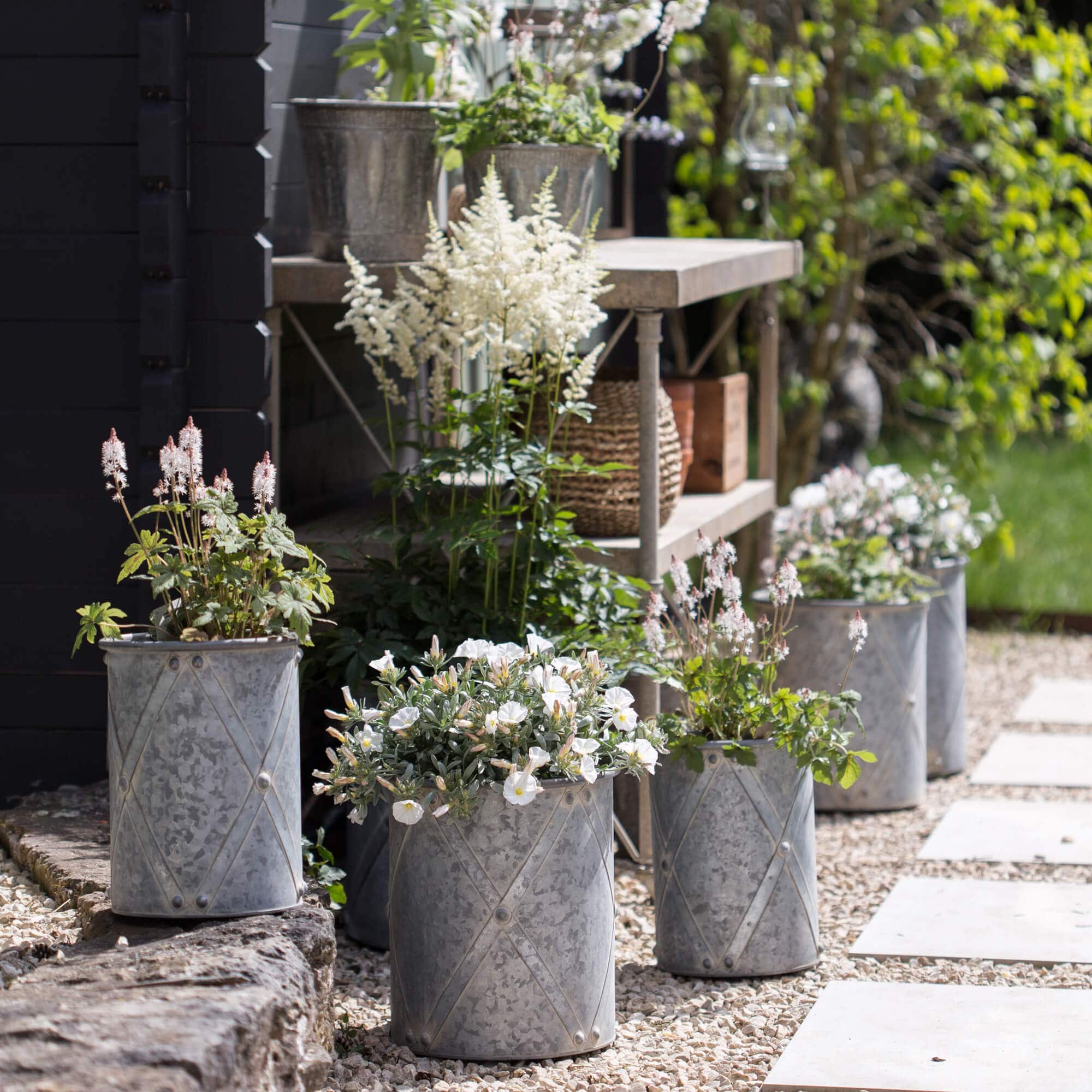 Grau lackierte Metallblumentöpfe mit weissen Blumen auf steinigem Boden im Garten arrangiert