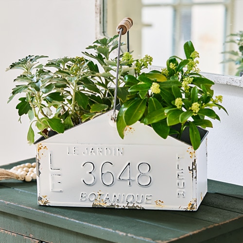Weisser Metallbehälter mit Griff und Pflanzen, Dekoration für Haus und Garten