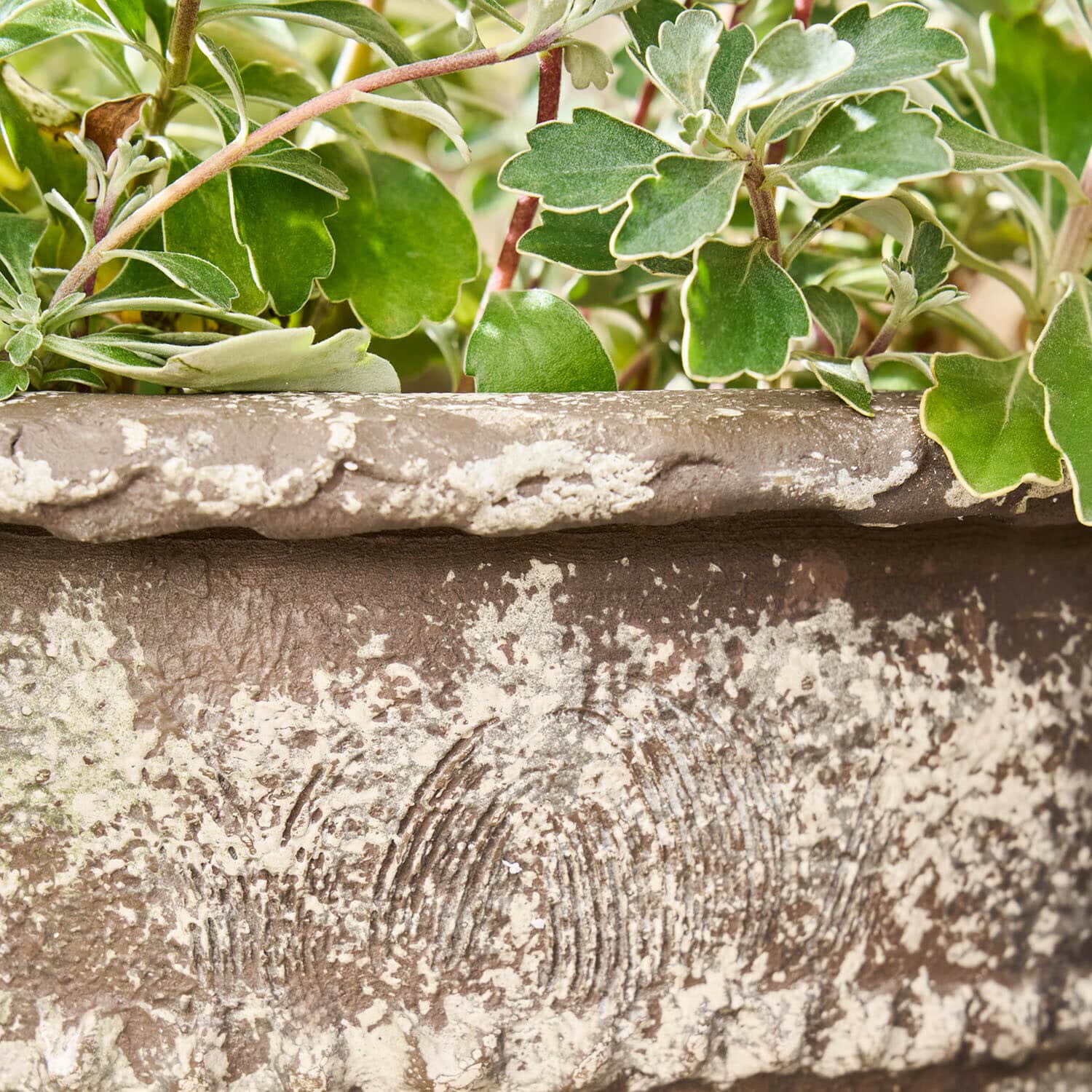 Übertopf 2er Set Montérise